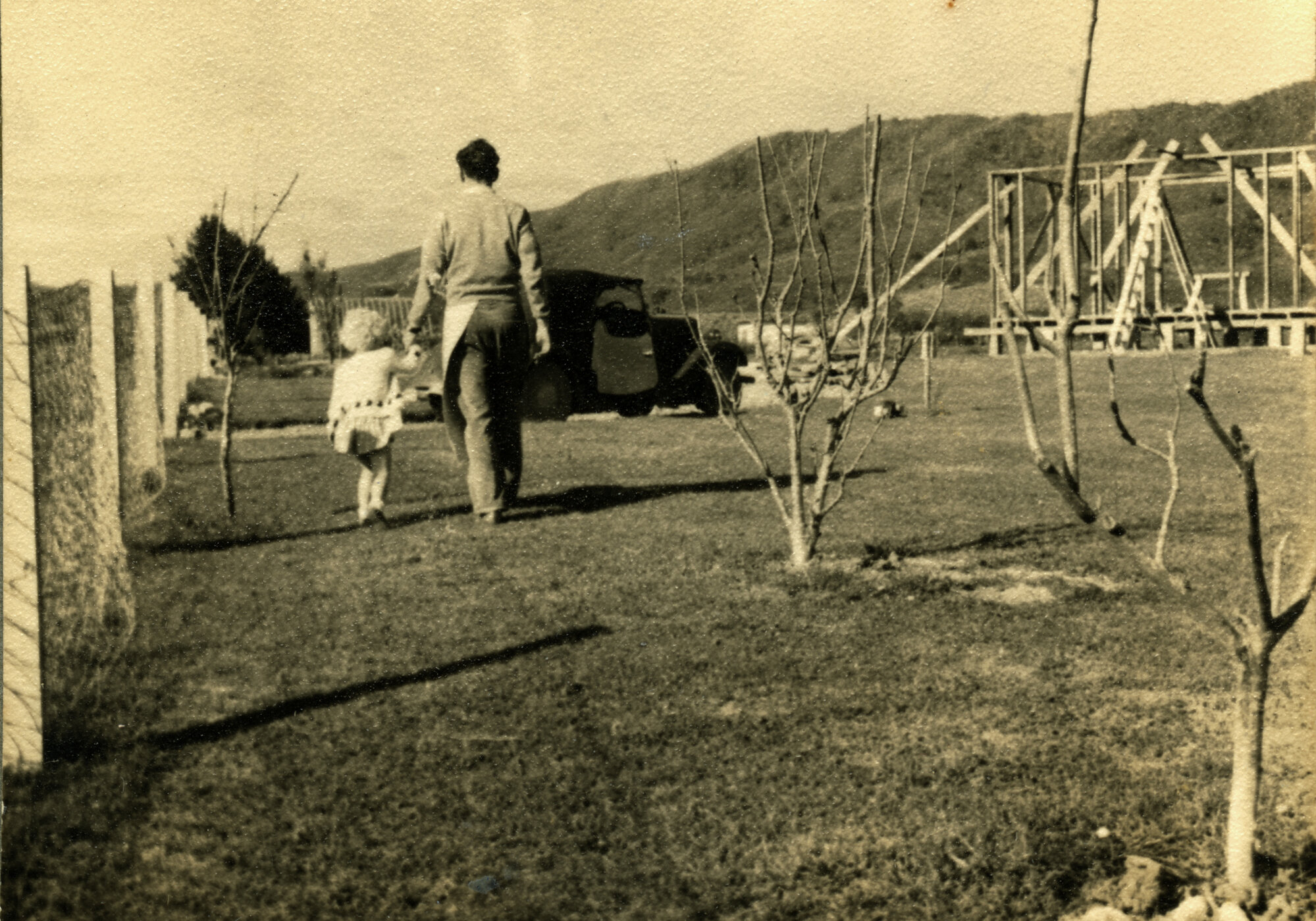 Revelle Jackson; 5 Paton Street, Mangaroa house  7; fruit trees, a fence and lawns.