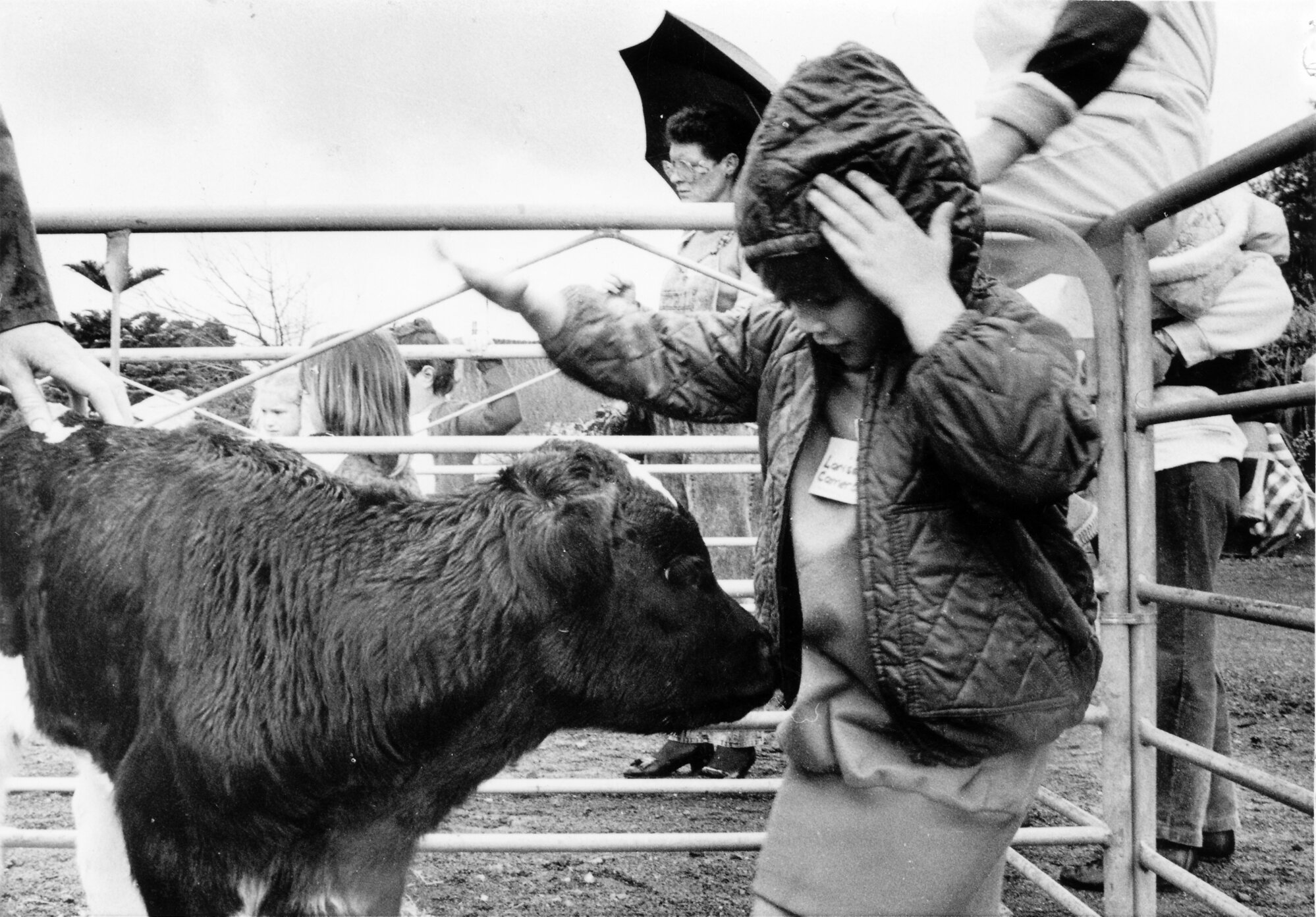 Wallaceville Research Centre; kindergarten children's pet day; Louise Cameron and calf.