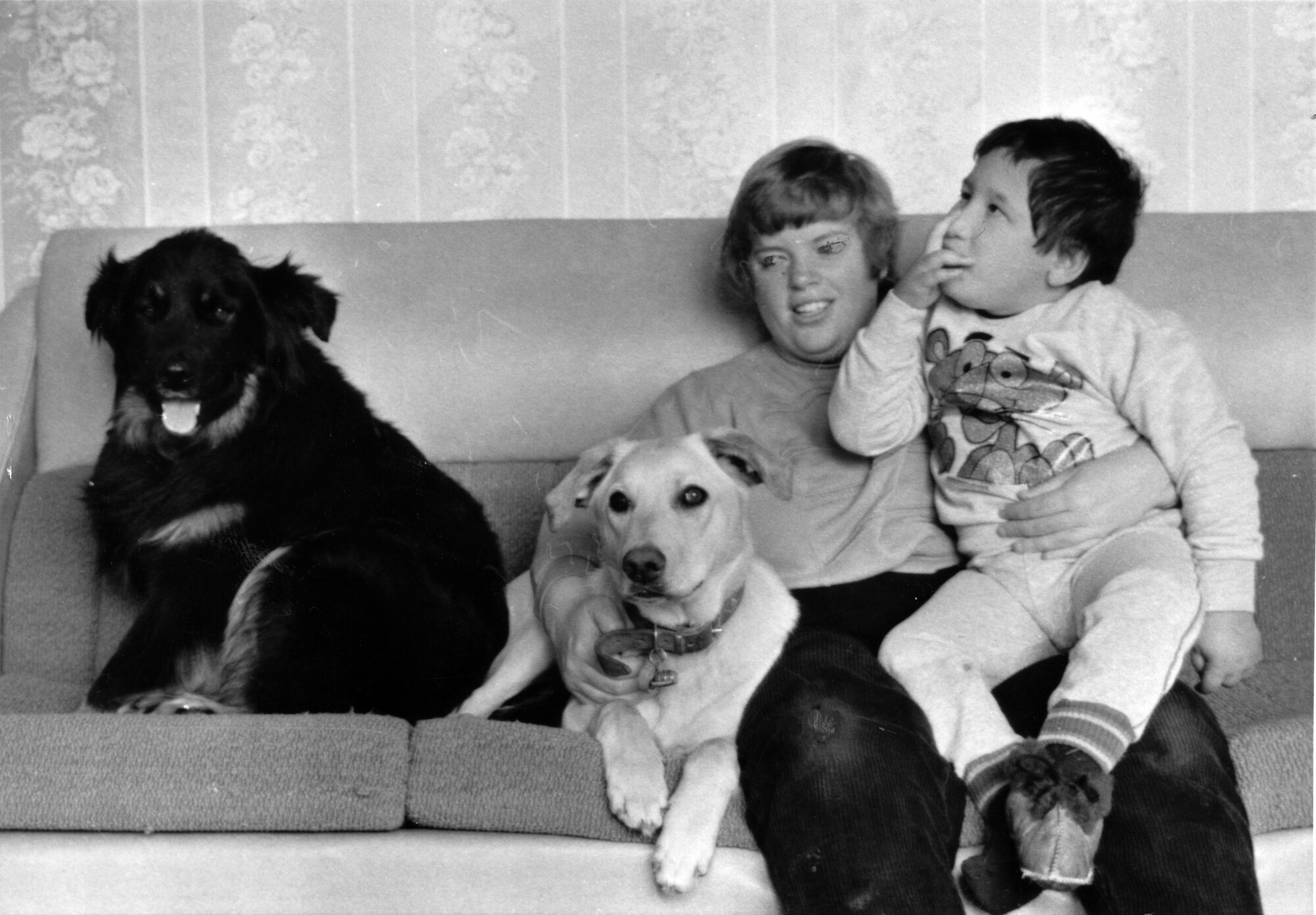 Sonia Keenan with three-legged Yankee, blind Kimba, and Owen, 5.
