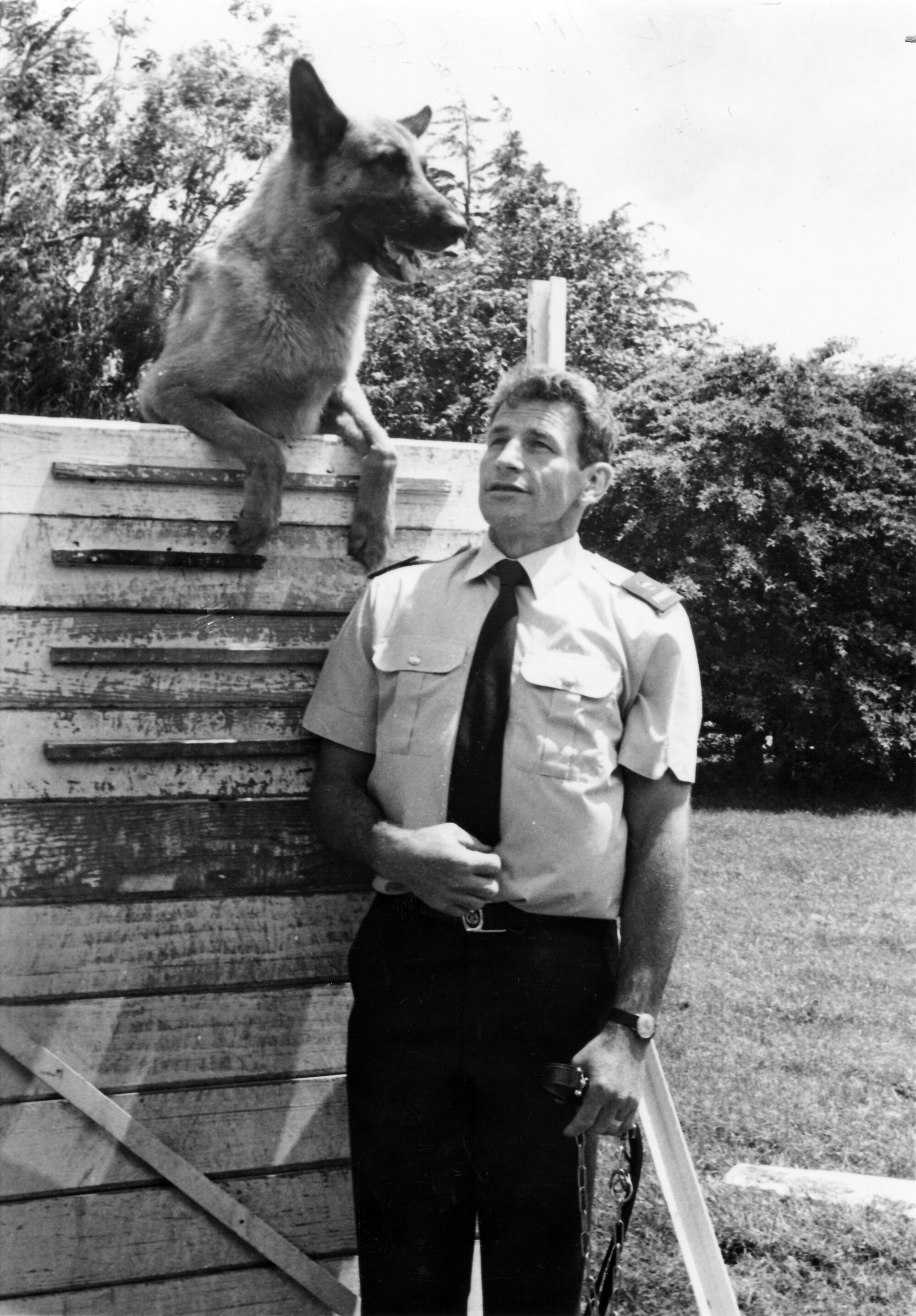 Police dog championships; Contstable Jim Donald and Taz, from Auckland, at the high jump.
