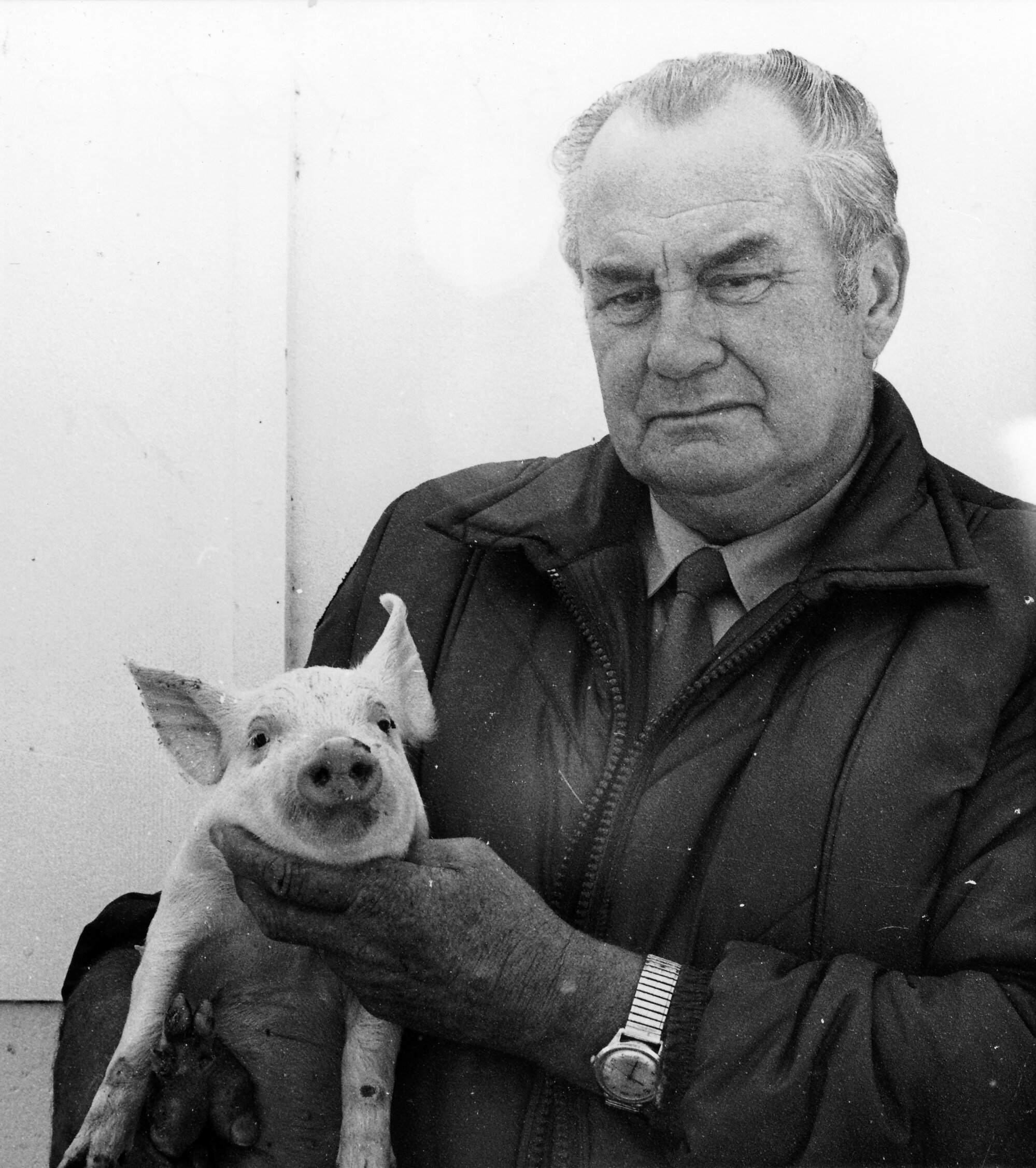 Wi Tako Prison chief farming instructor Peter Edwards retires, 1987