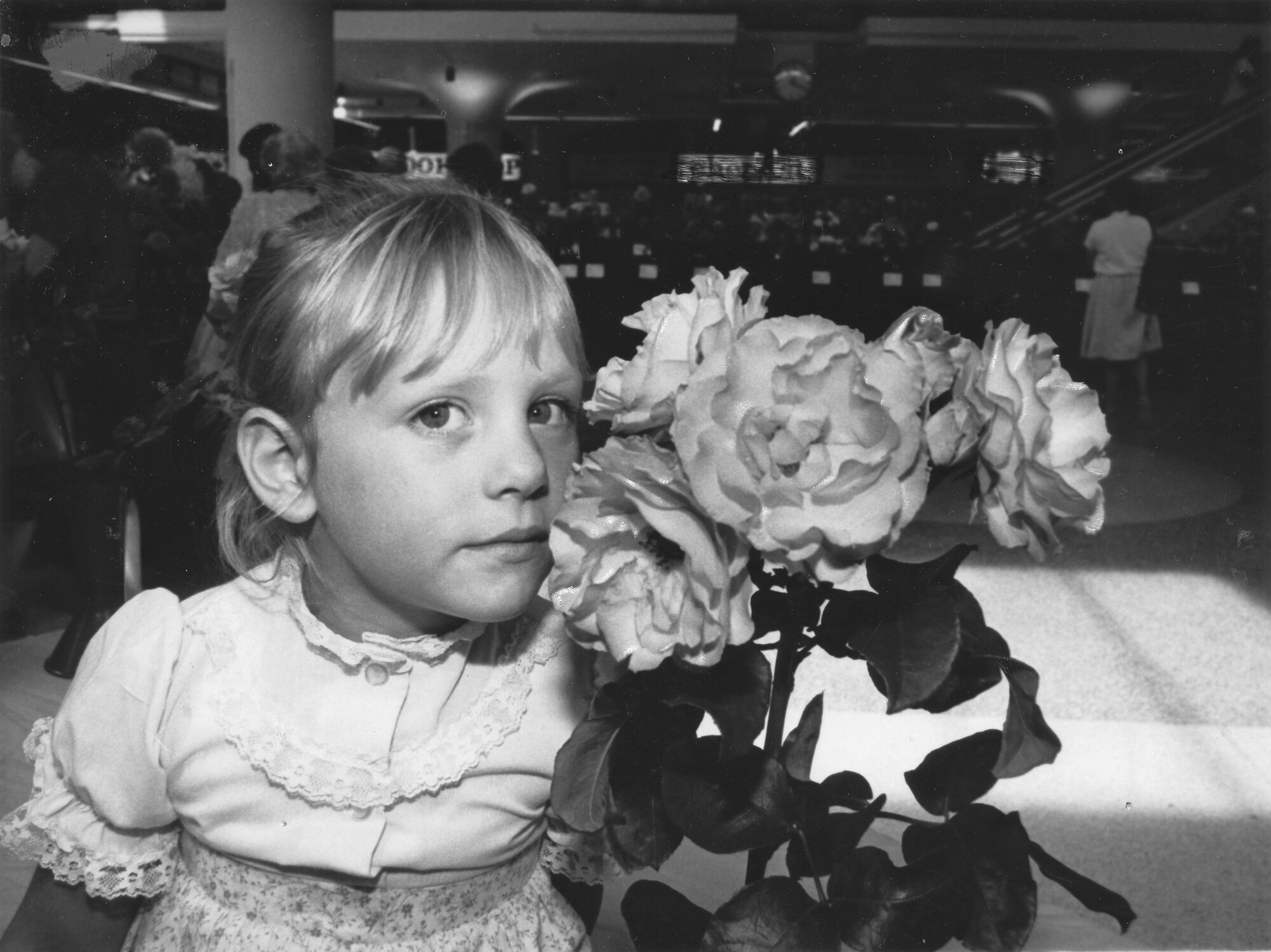 Sarah Jones , 3-1/2, and Sybil Towers's champion rose, Maidstone Mall.