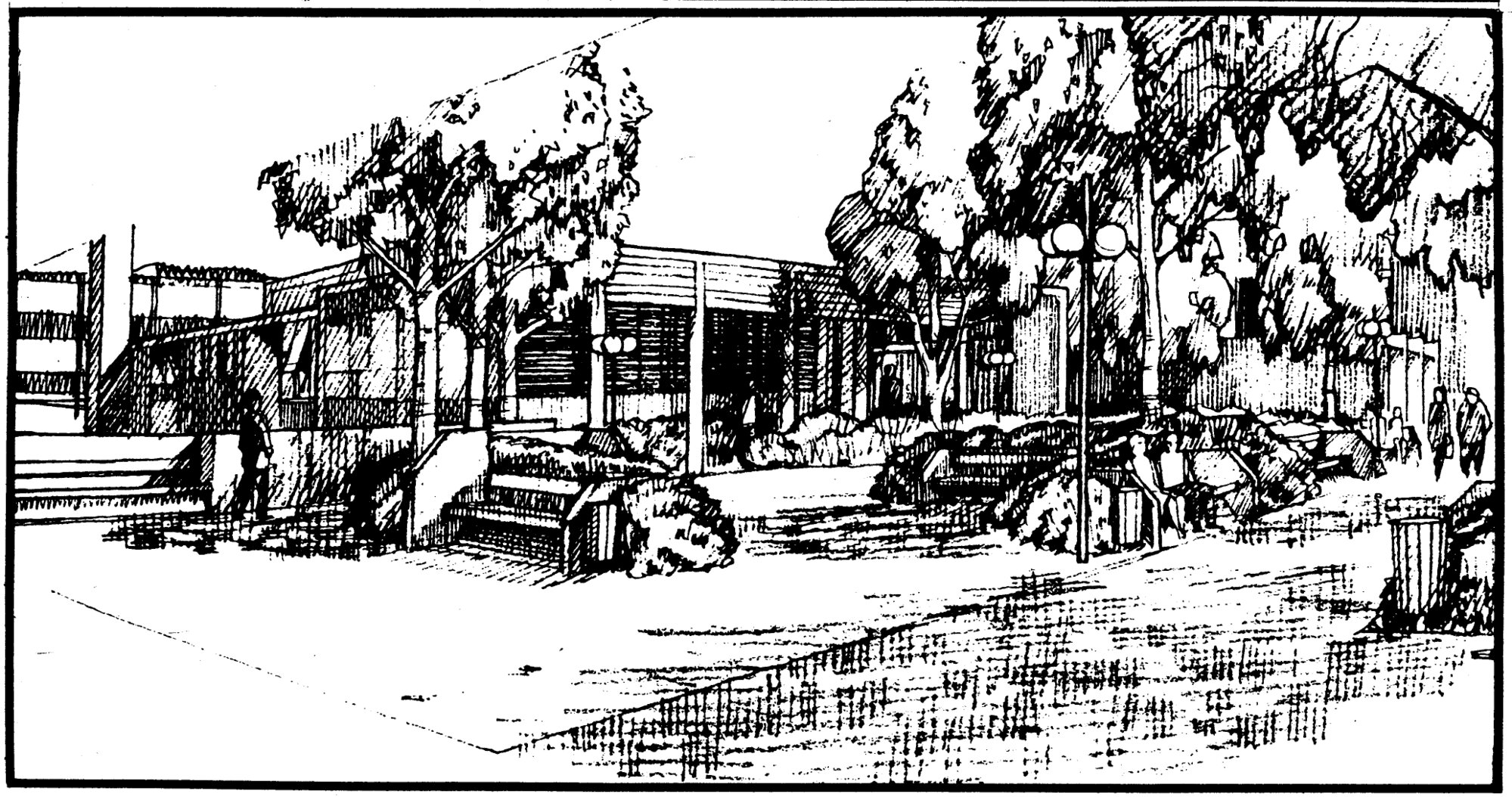 Main Street, south side; No. 82; courthouse grounds; planting proposal.
