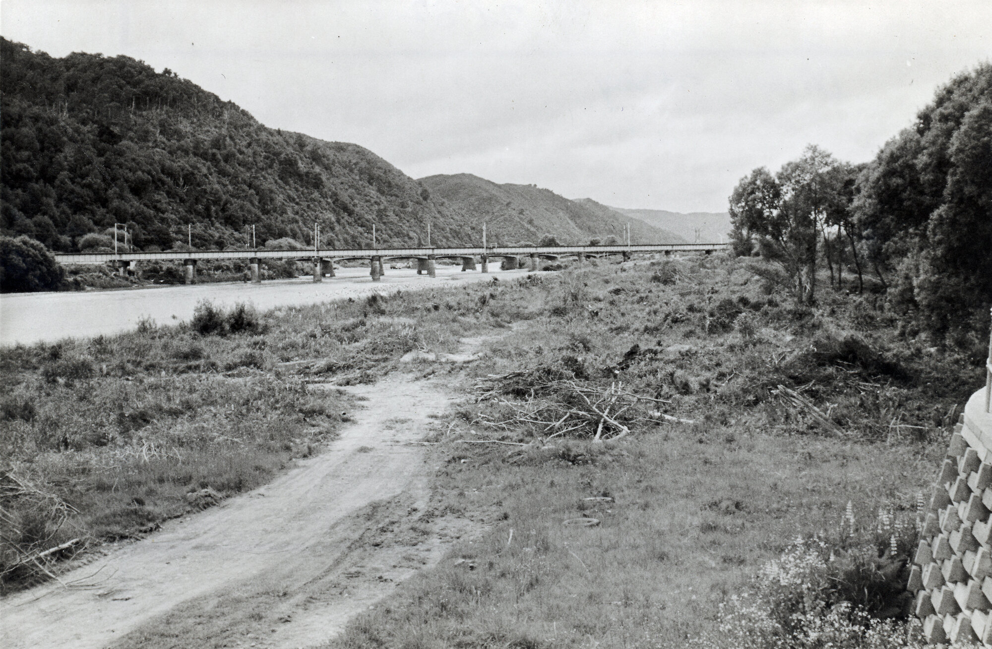 River erosion protection; site of five-hectare willow nursery for  the Regional Council.