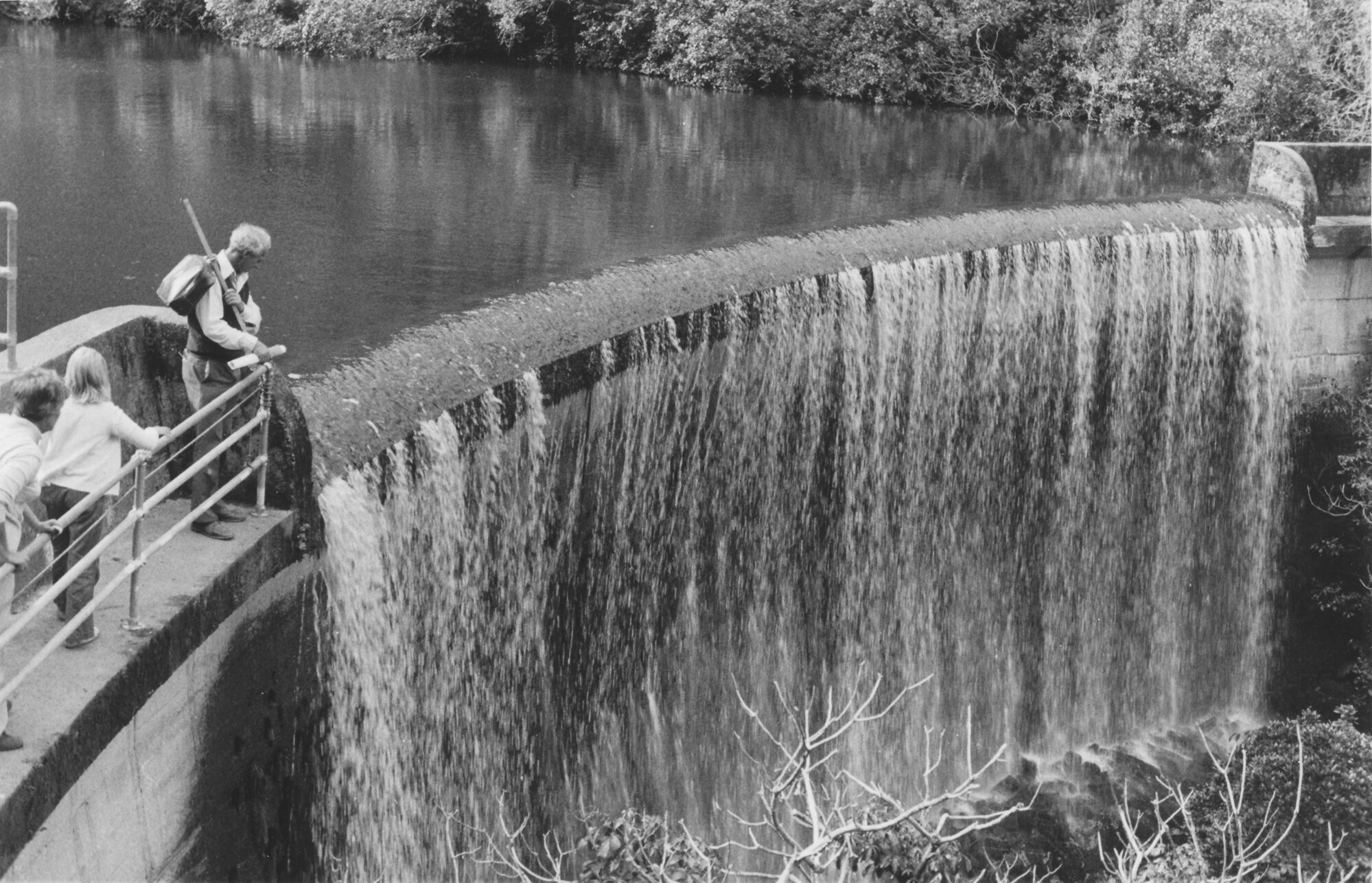 Birchville water-supply dam 5; taken during a 'Come Alive' walk at Cannon Point.