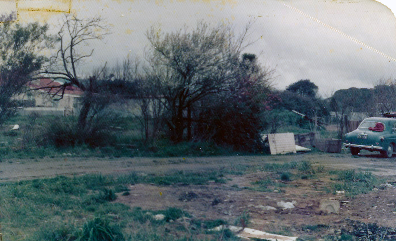 Ōrongomai Marae 1975; site before clean-up.
