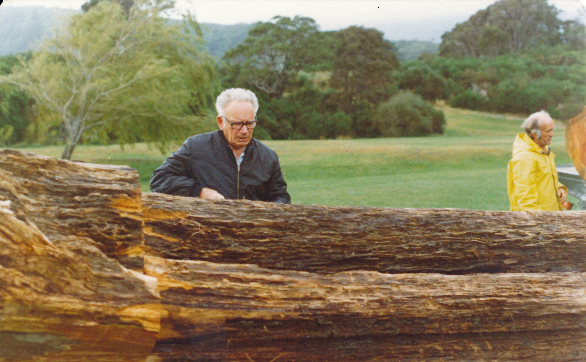 Ōrongomai marae 1977&ndash;78; tōtara log inspected by Jock McEwen