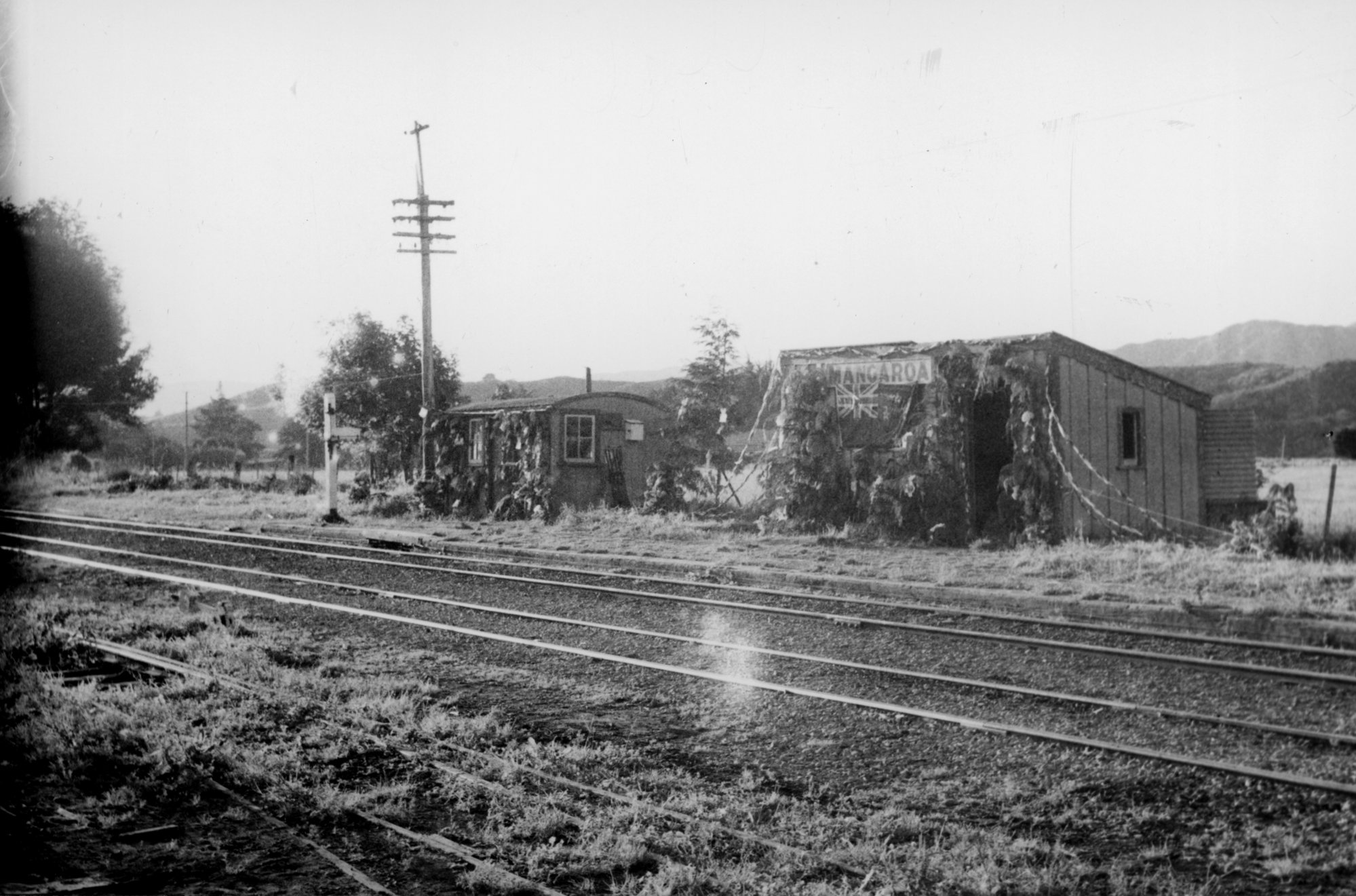 Royal visit decorations, Mangaroa railway station