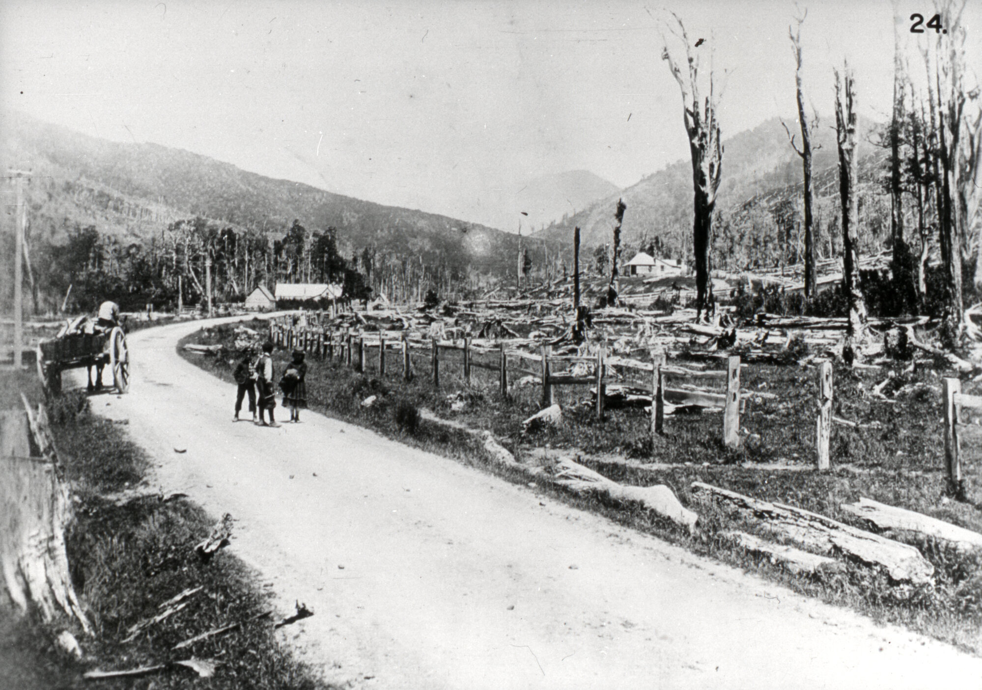 Hutt Valley History 24; Land Clearing and flooding 1; cleared land