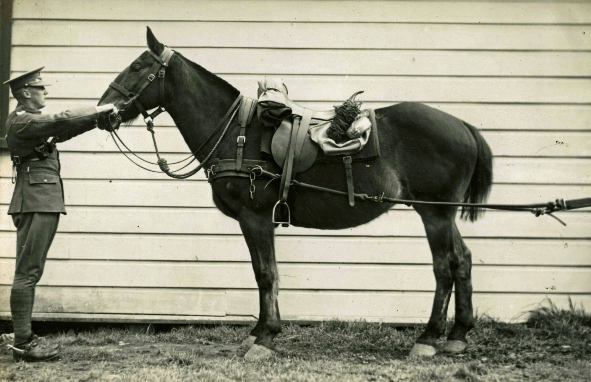 E. G. Taylor cavalry training 1937 02