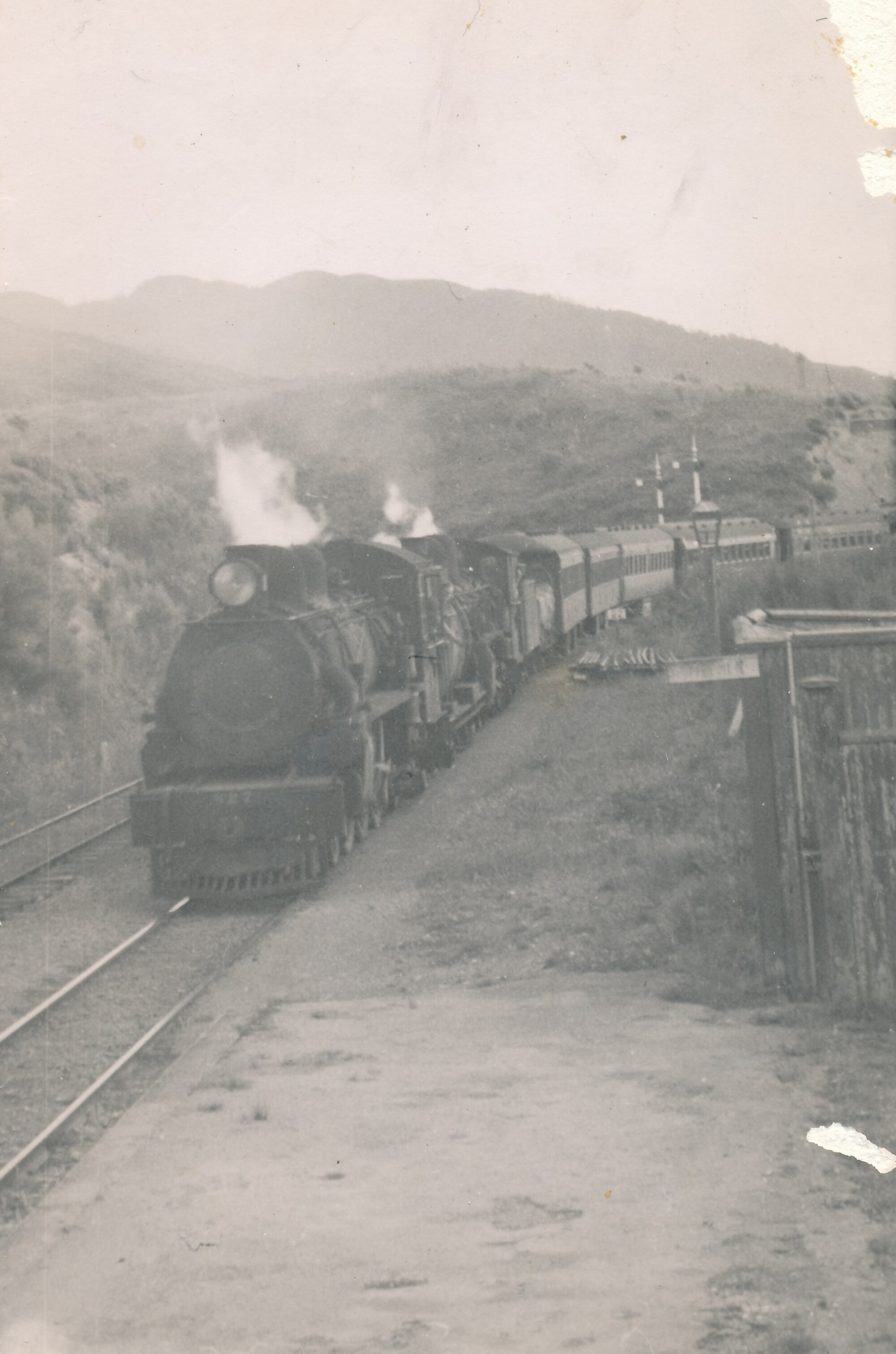 Train passing through Kaitoke Station
