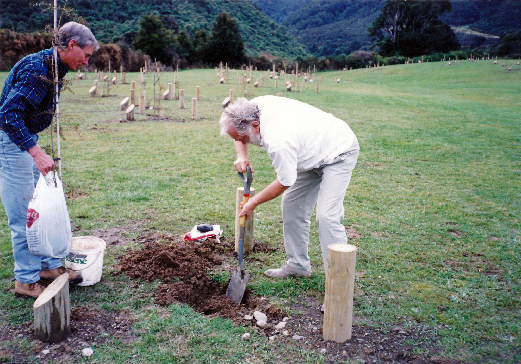 David Bellamy planting at Kaitoke Regional Park, 2000