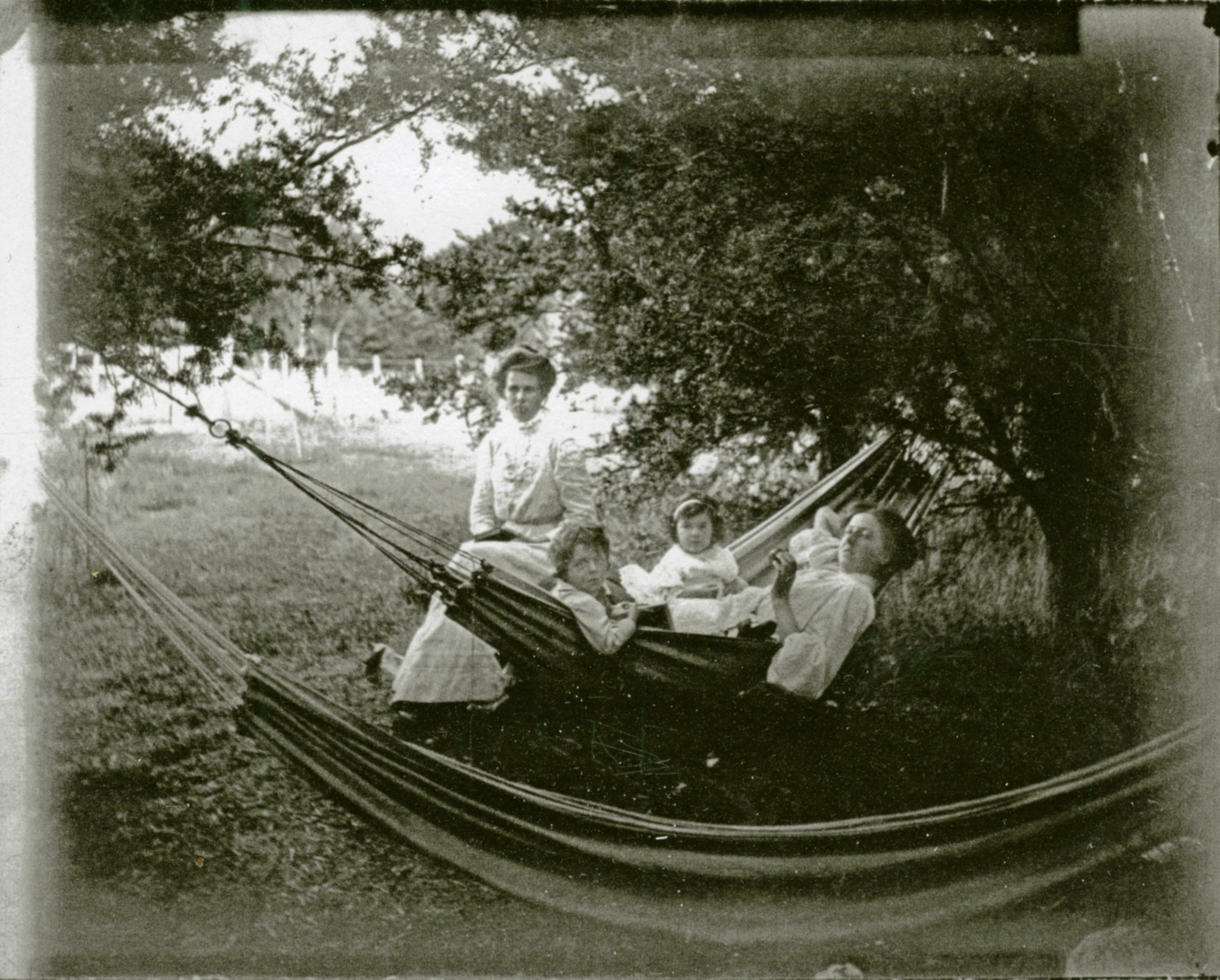 75 Martin Street; 'Haukaretu' garden scene