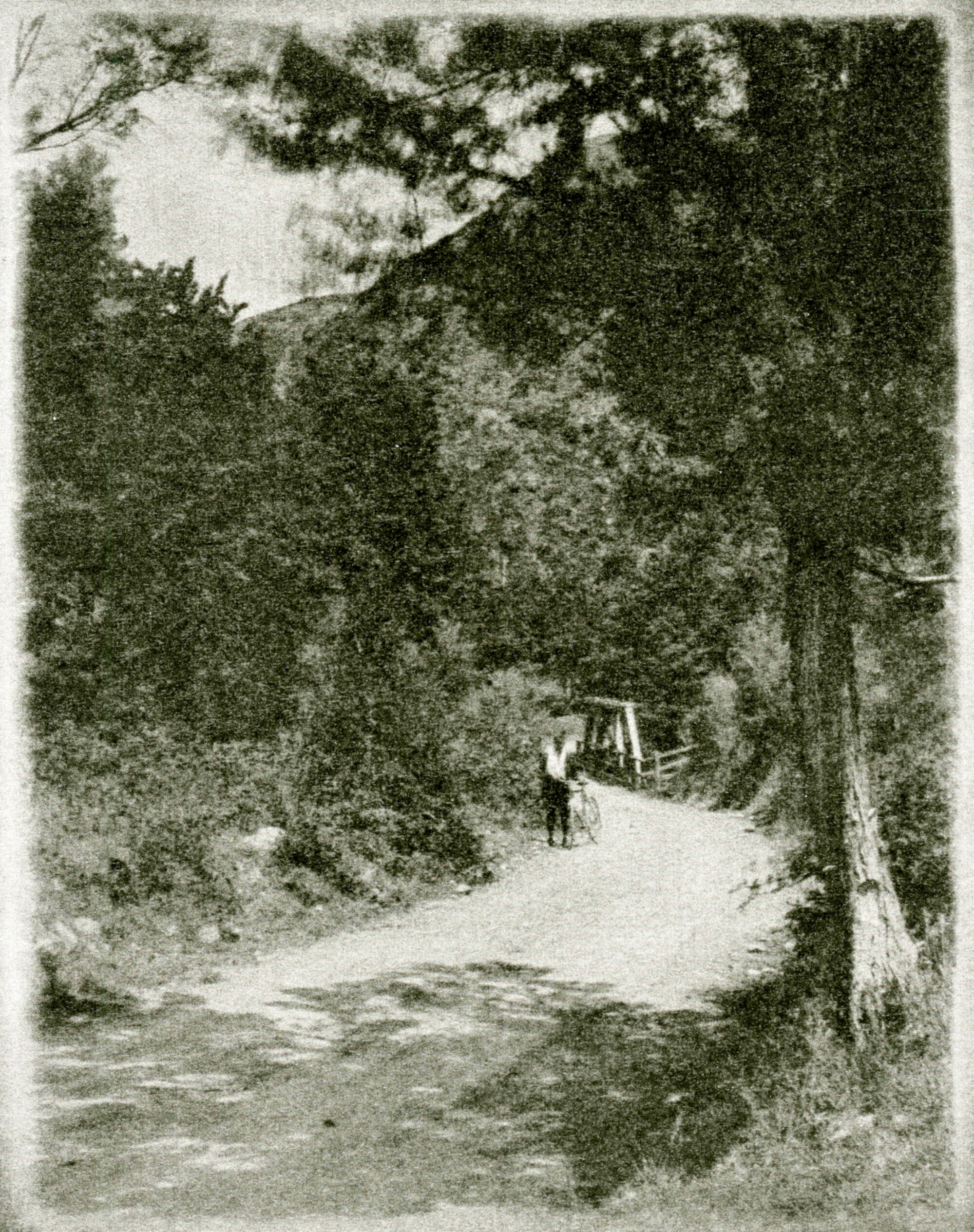 Three-bay truss bridge and cyclist