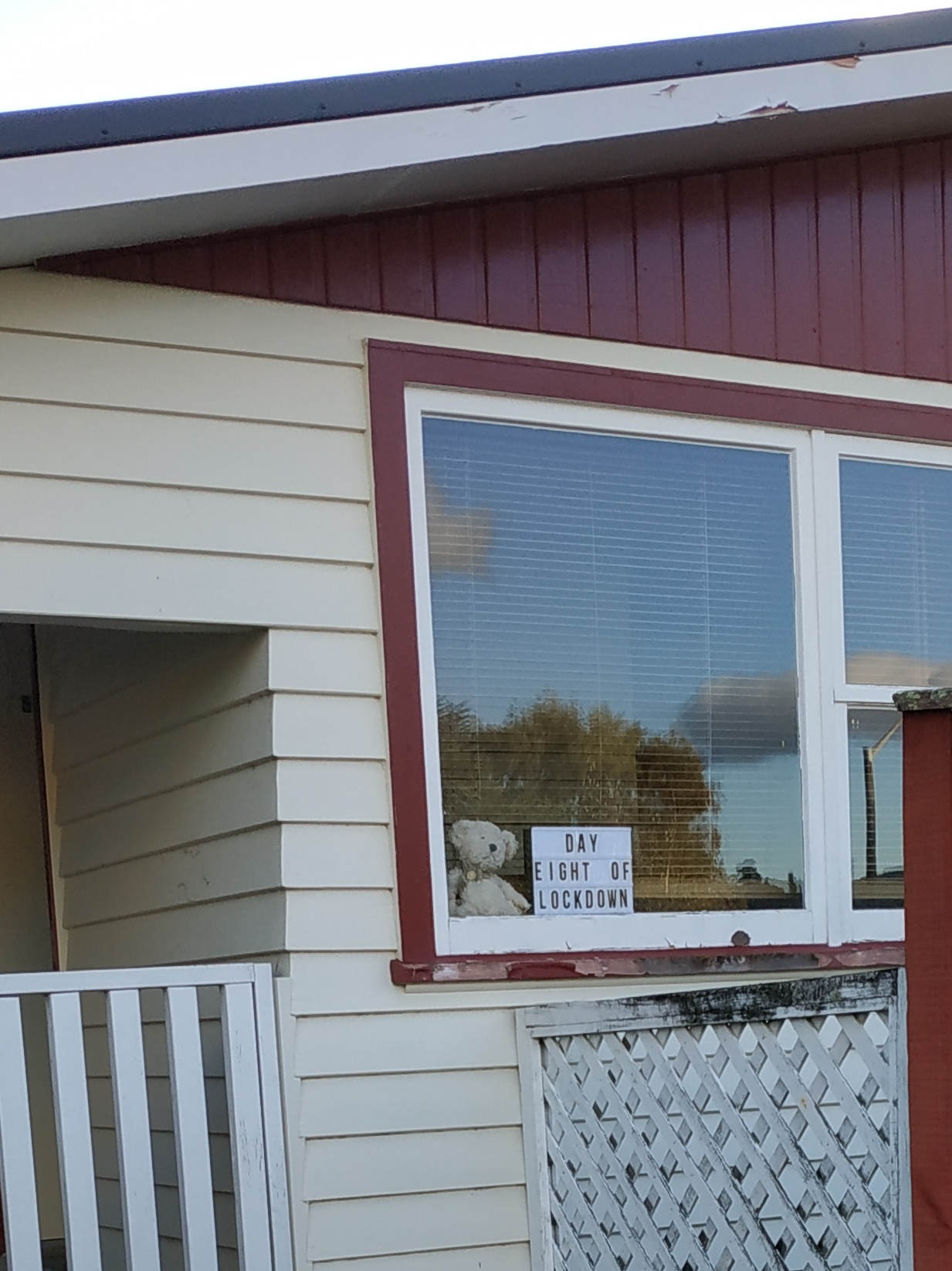 Teddy bear in window during Covid-19 level 4 lockdown