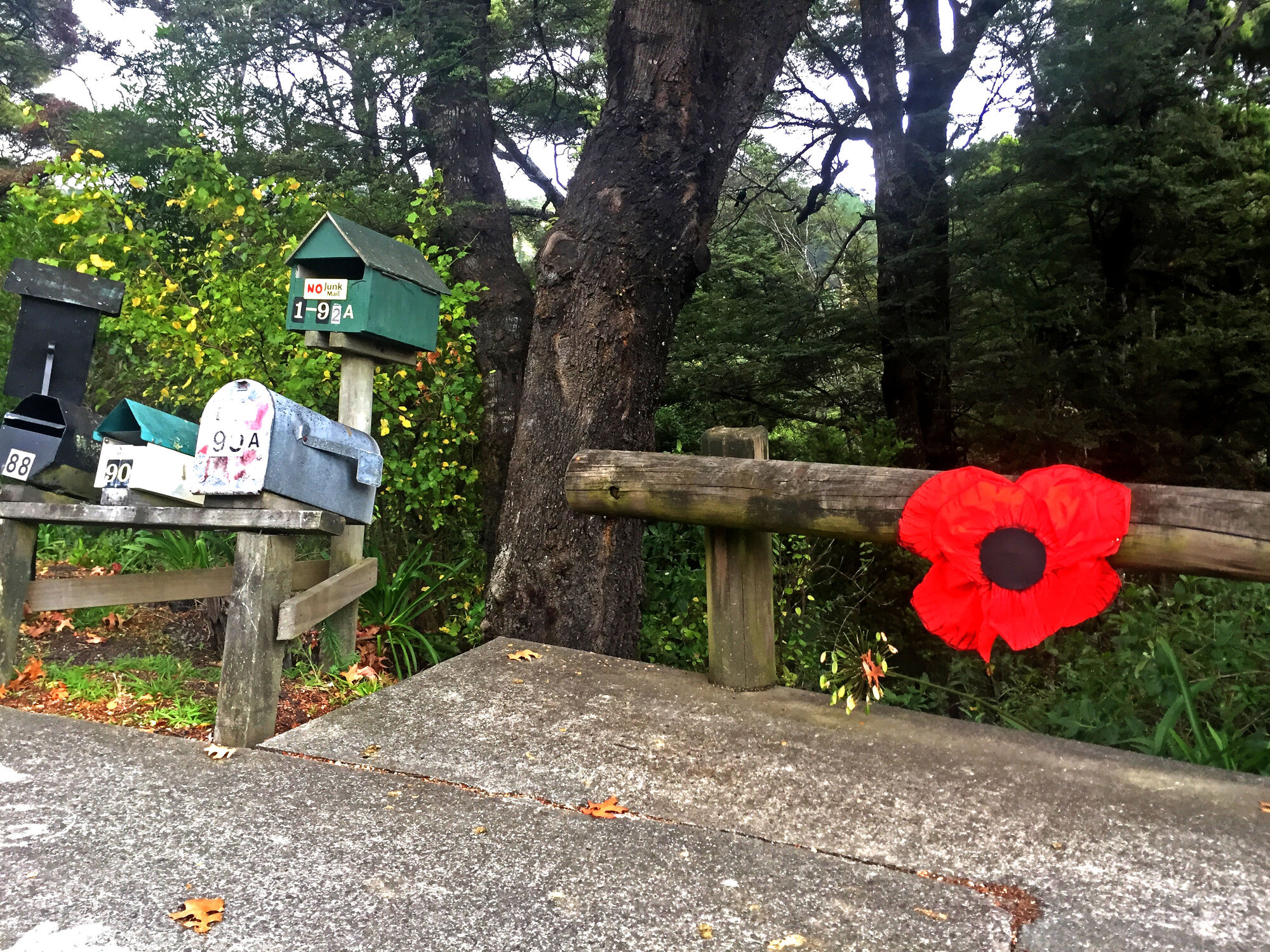 Poppy tribute, Pinehaven, Anzac Day 2020