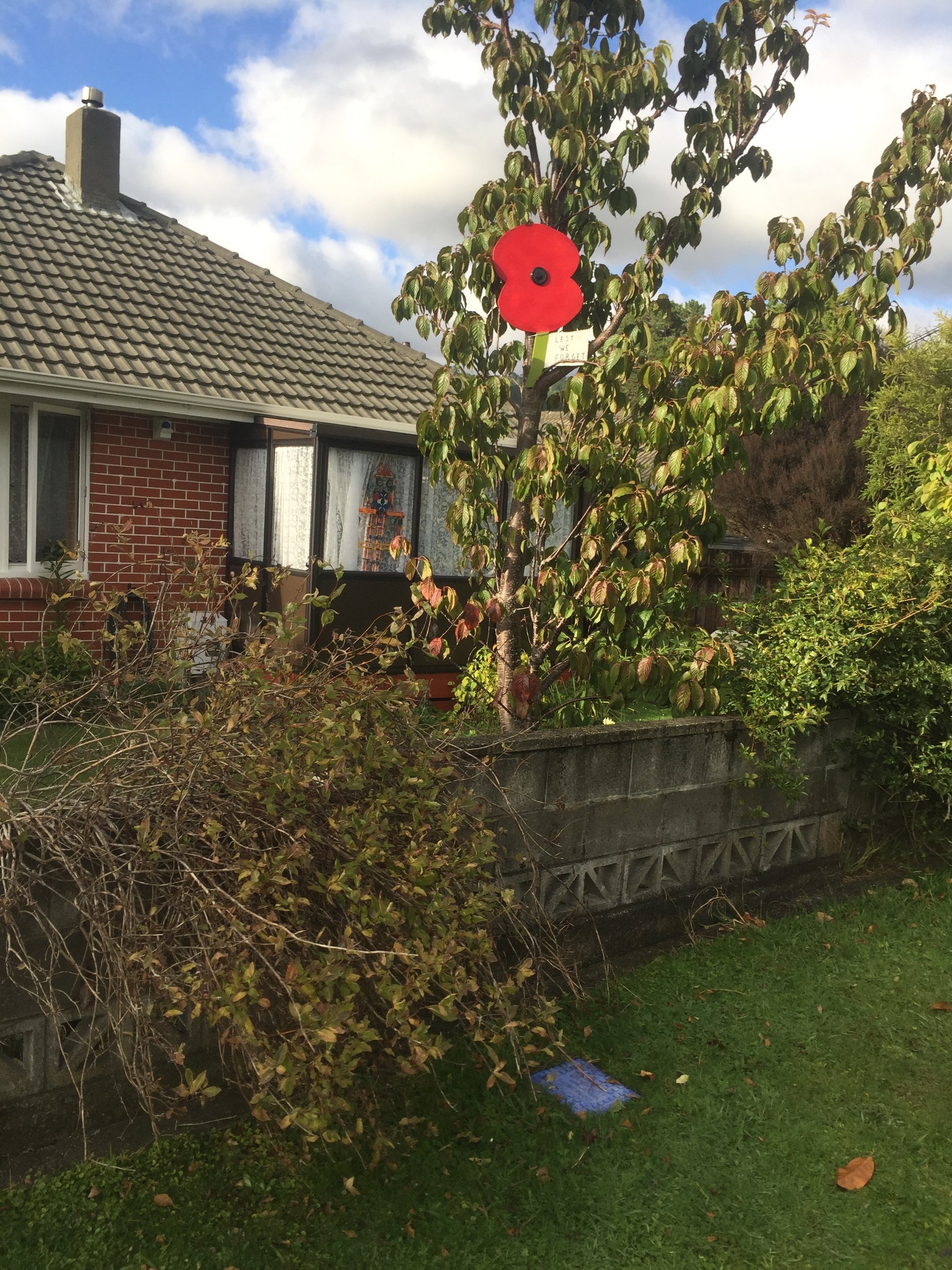 Poppy in tree tribute, Pinehaven, Anzac Day 2020