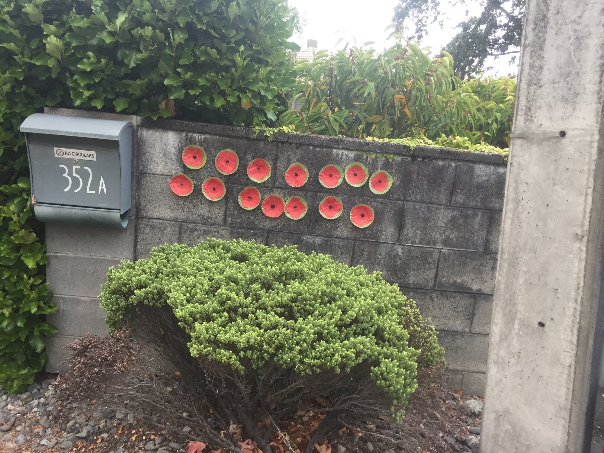 Poppies wall decoration, Heretaunga, Anzac Day 2020
