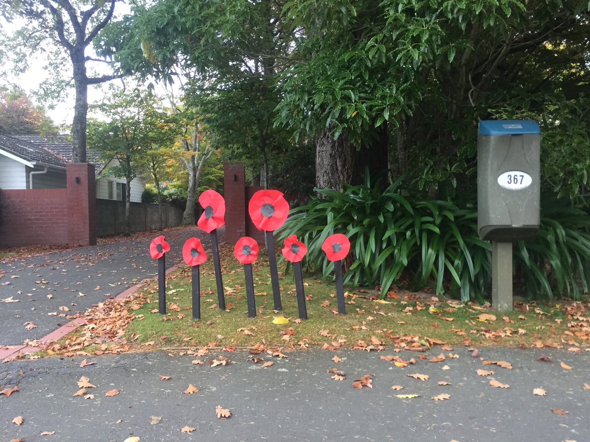Poppies, Heretaunga, Anzac Day 2020