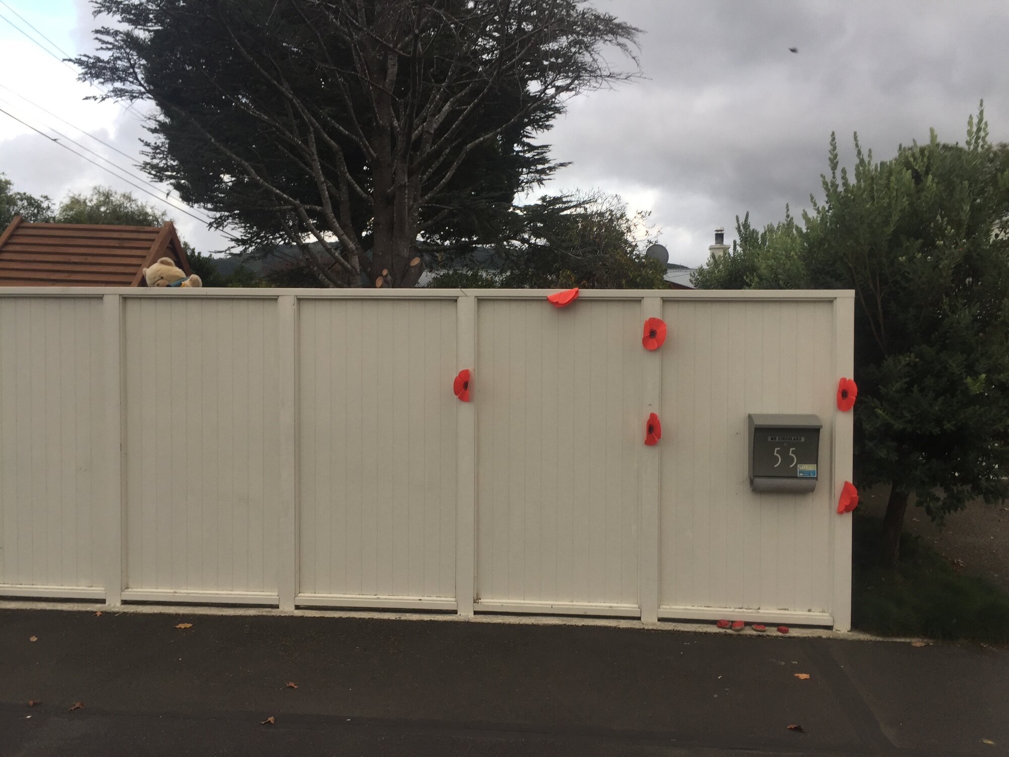 Poppies tribute (and bear), Anzac Day 2020