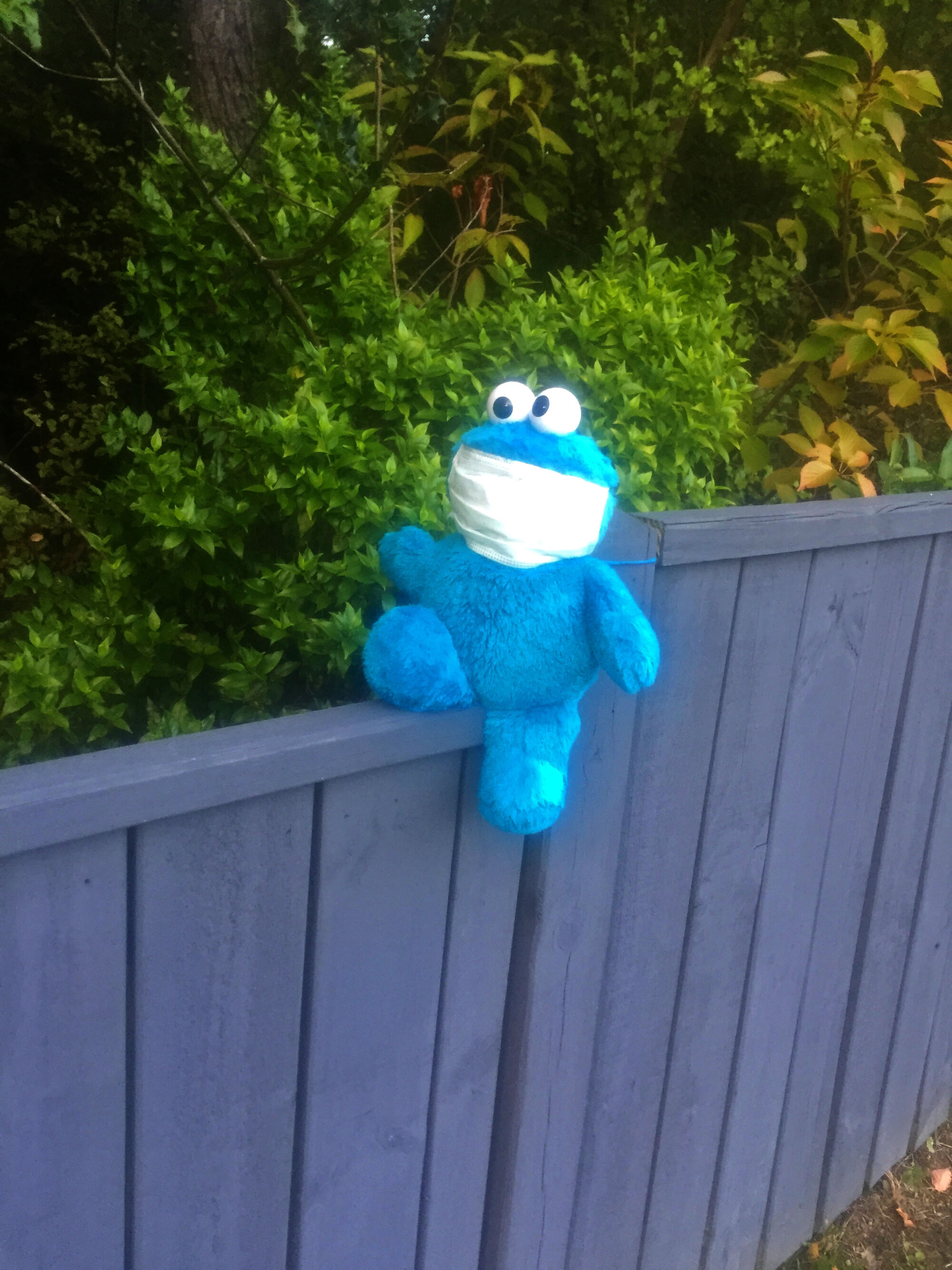 Cookie Monster toy with face mask, Silverstream