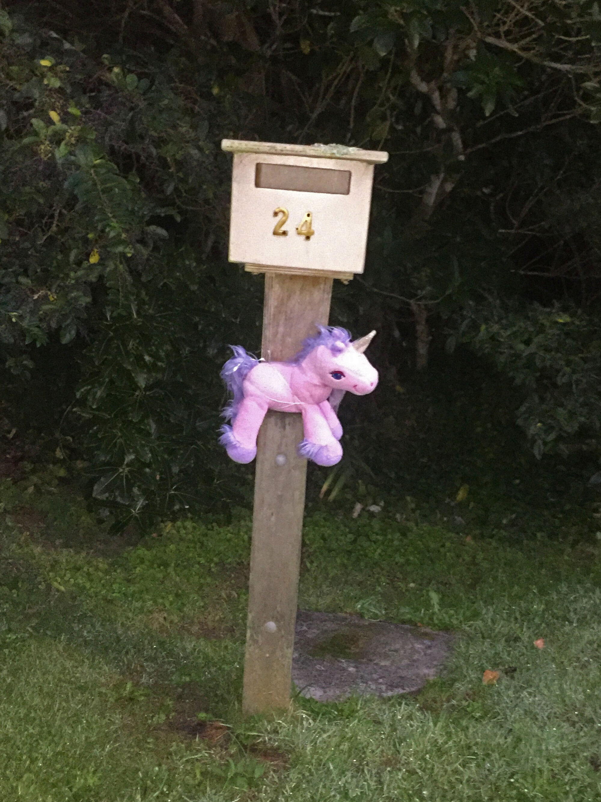 Unicorn on mailbox display, Pinehaven