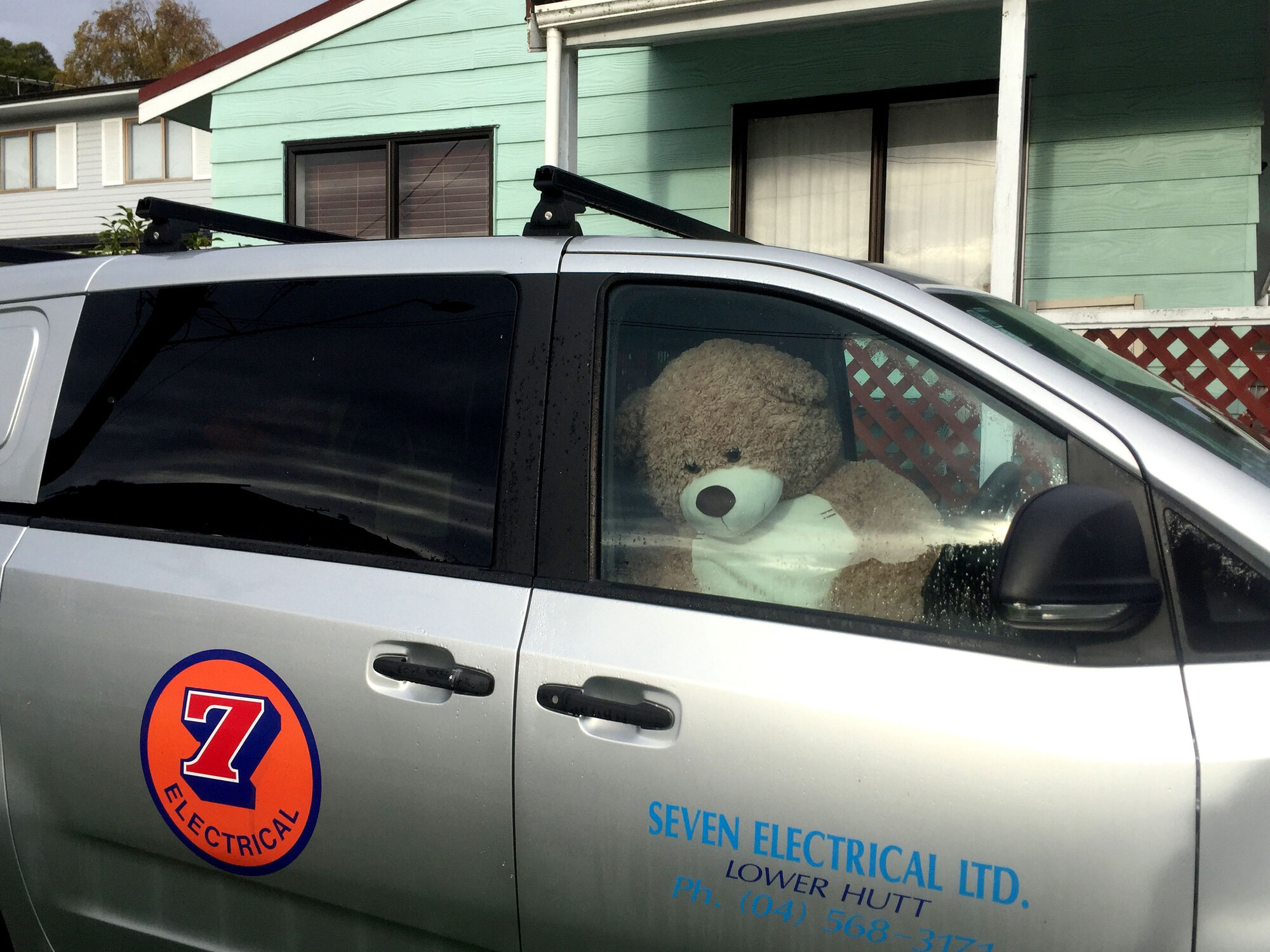 Teddy Bear in car, Heretaunga