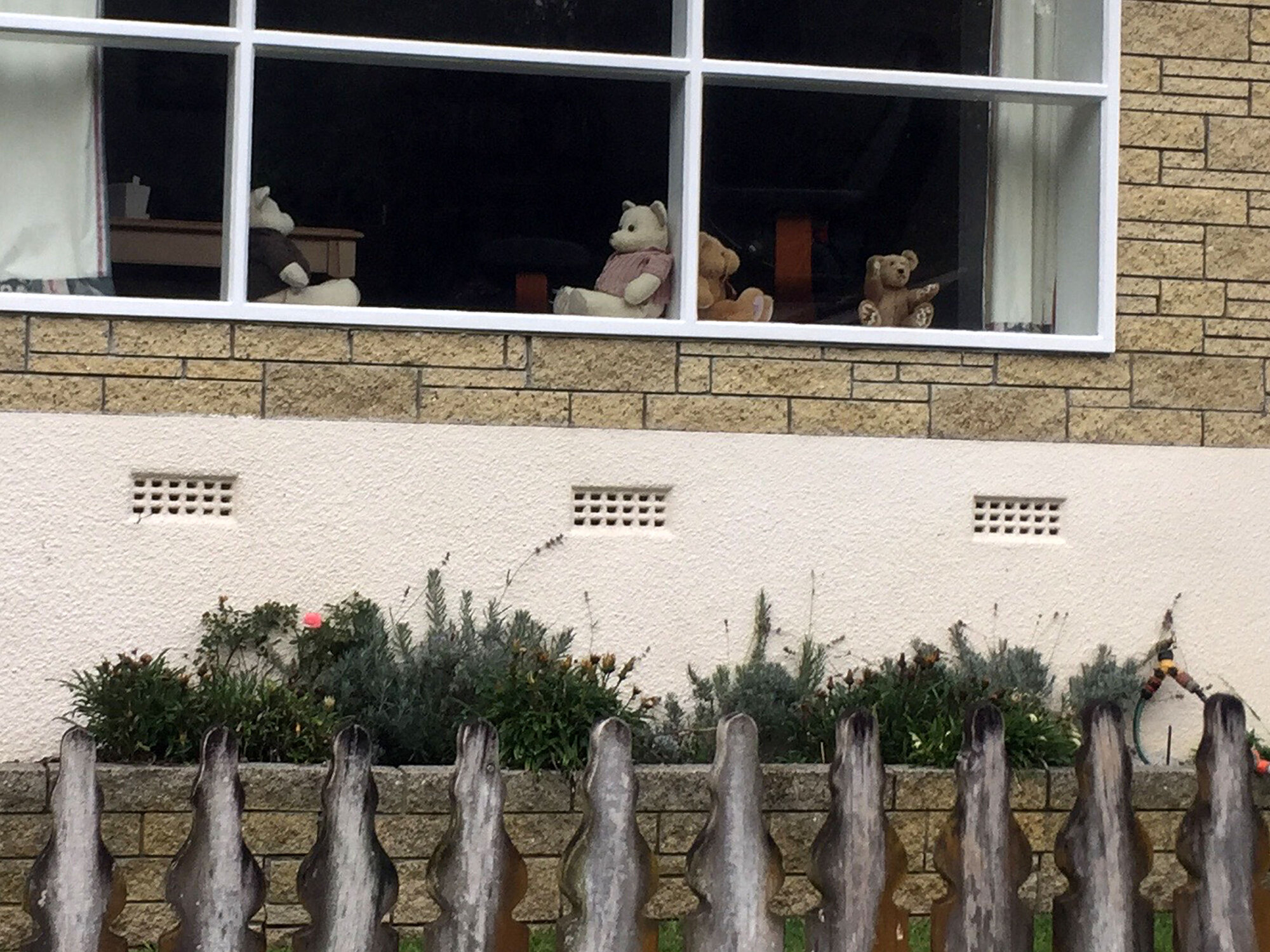 Teddy Bear window display, Pinehaven 04
