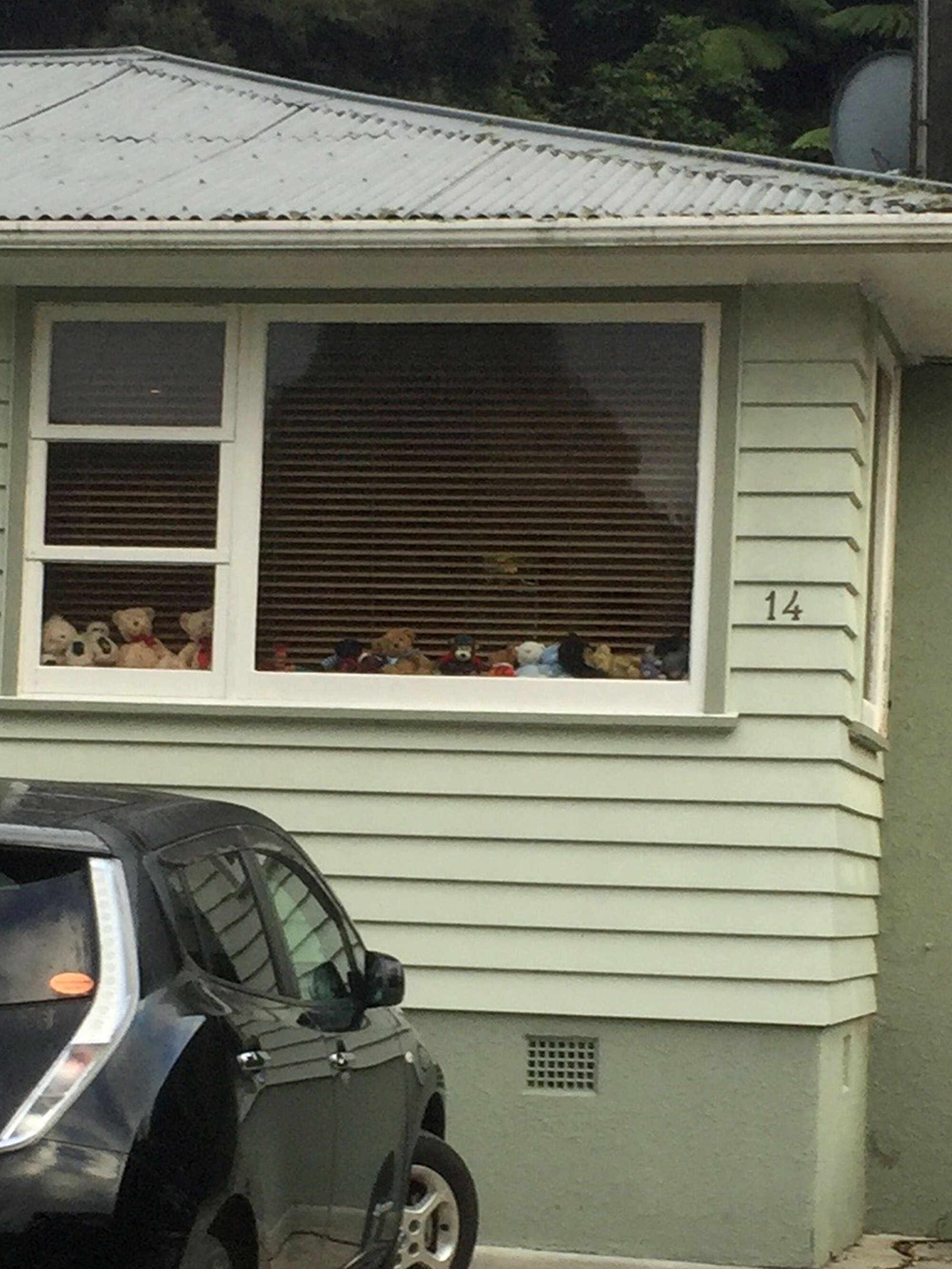 Teddy Bear window display, Pinehaven 03