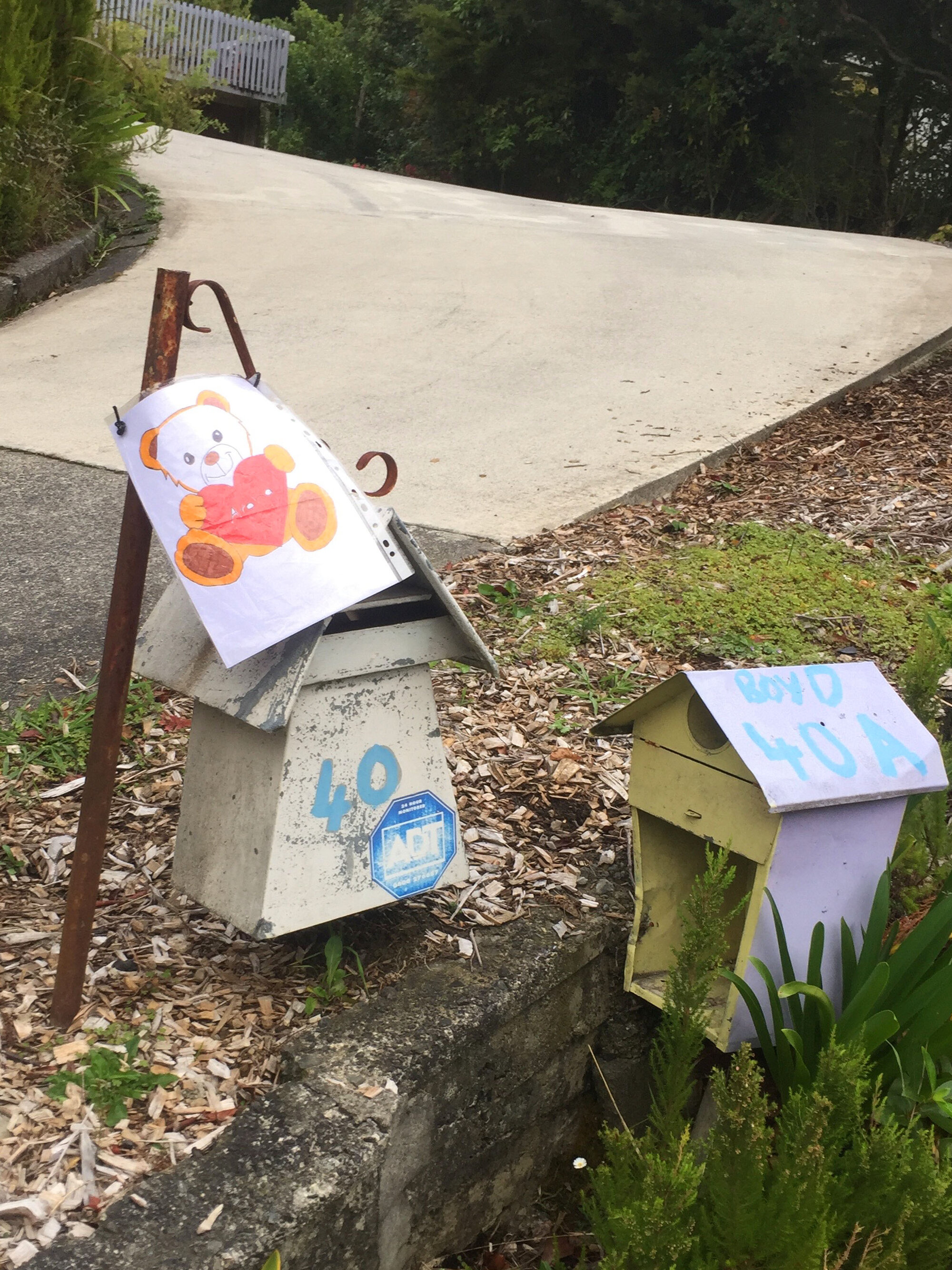 Teddy Bear picture on mailbox, Pinehaven