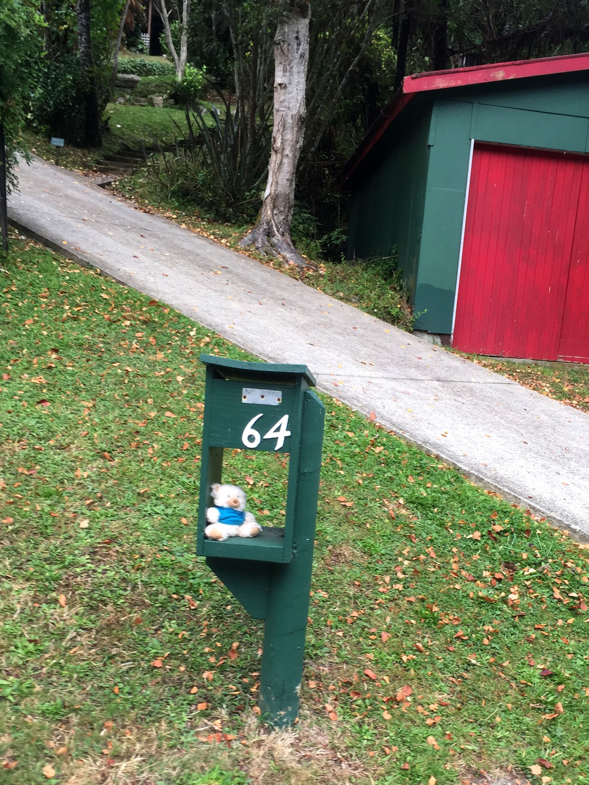 Teddy Bear in mailbox, Pinehaven