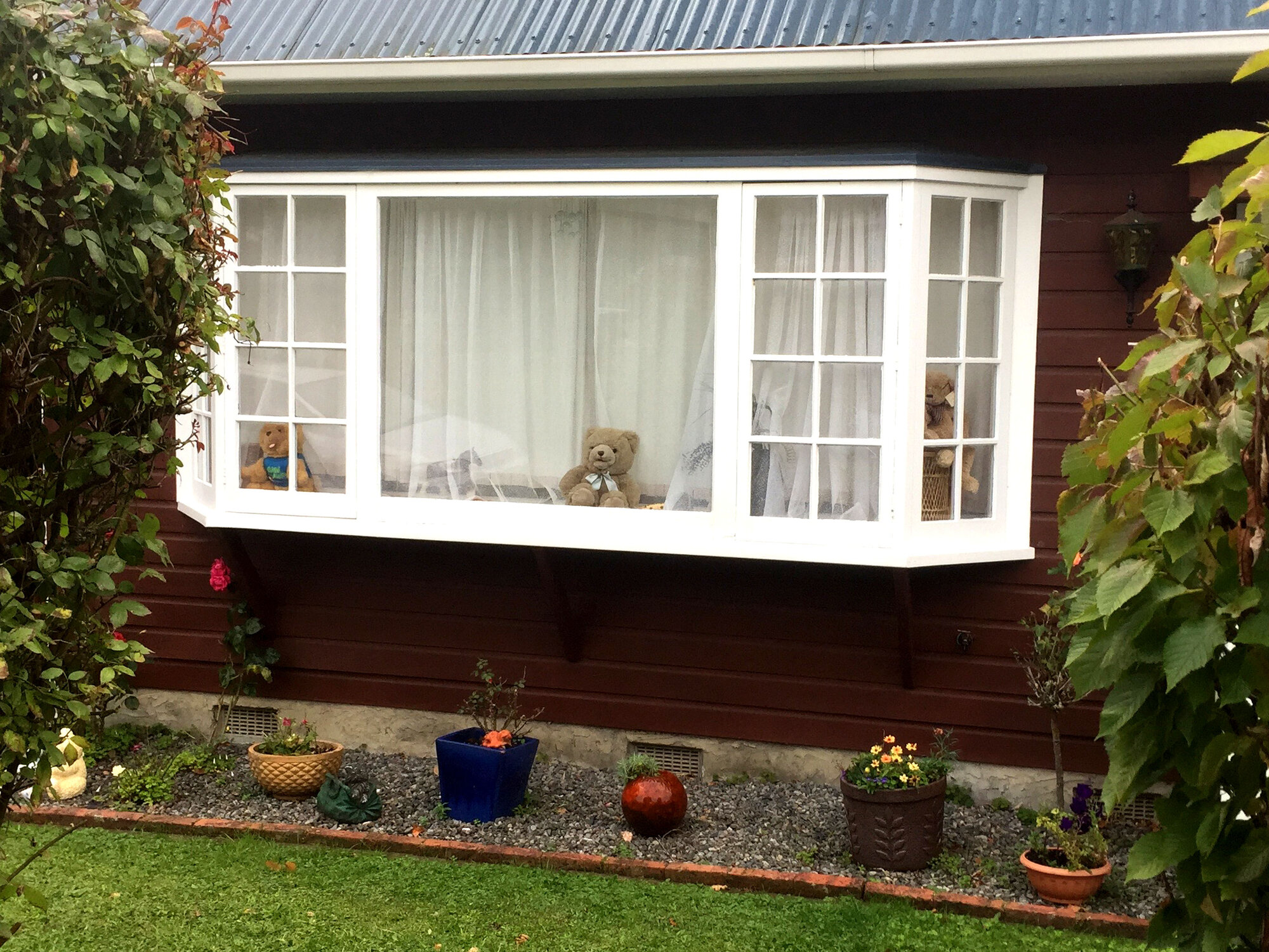 Teddy Bear window display, Pinehaven 01  
