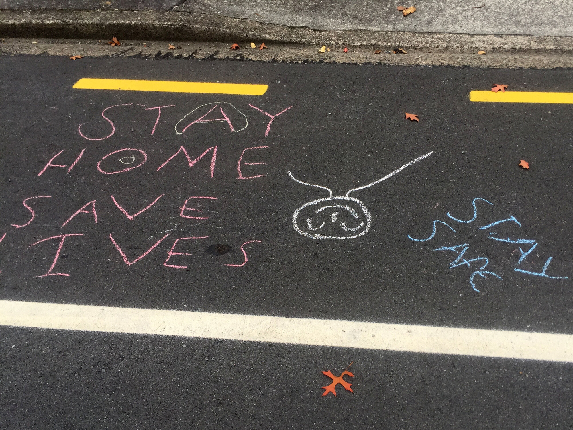 Chalked "Stay Home, Save Lives, Stay Safe" street message, Heretaunga