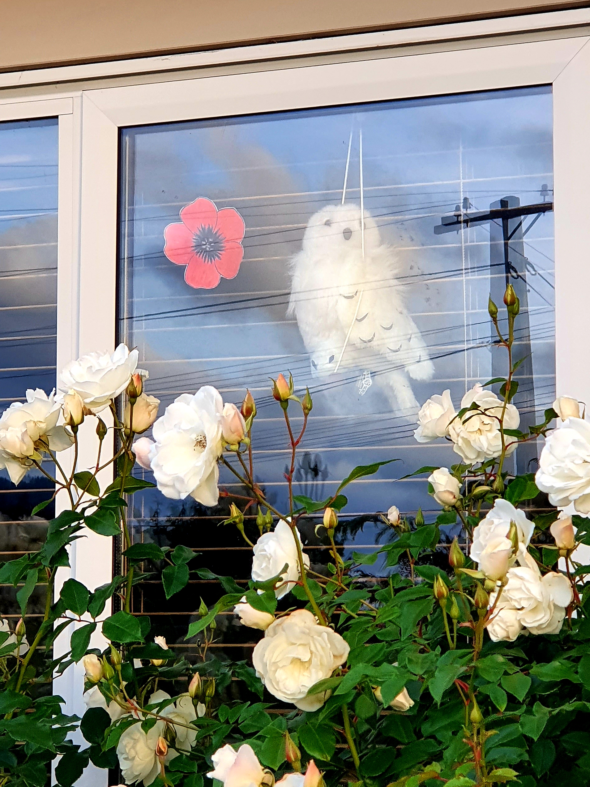 Poppy and stuffed Hedwig toy owl window display, Trentham