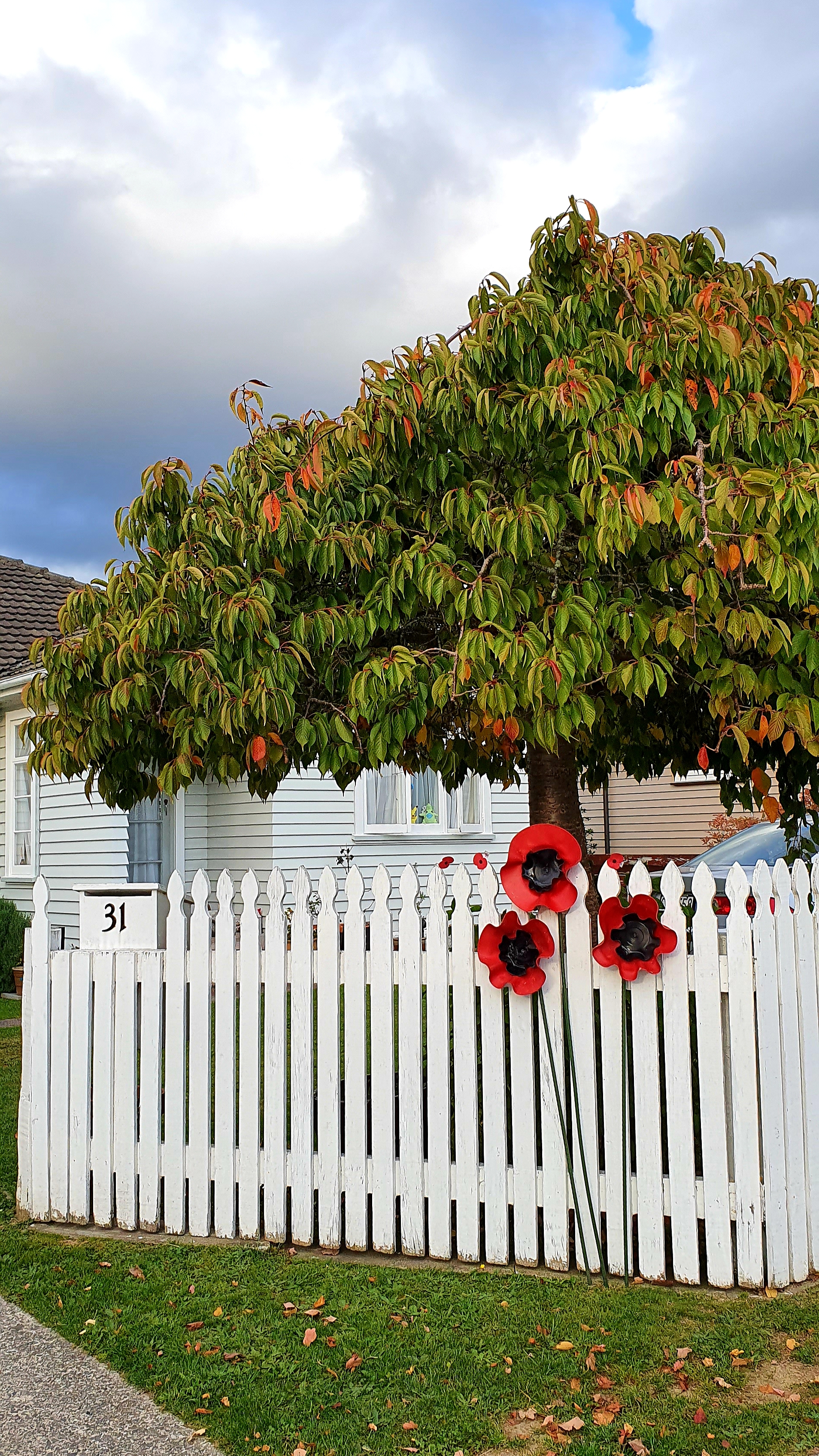 Anzac poppies tribute, Trentham