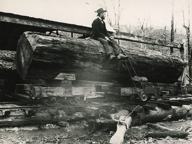 Timber industry; Greenwood's timber mill, and Greenwood's patent truck. [P5-21-598]