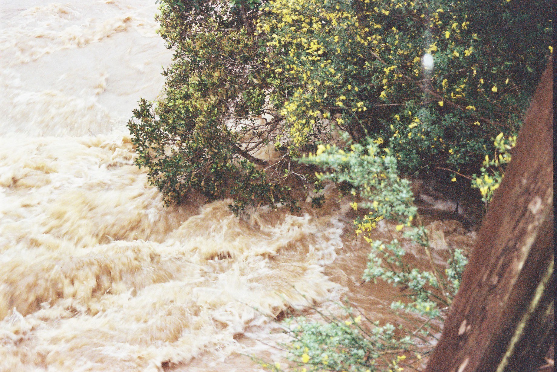 Flood, Karapoti; Akatarawa River West; close-up on upstream side of bridge.