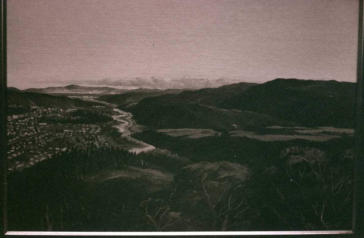 Hutt Valley and Wellington from Cannon Point; painting by Peter Scaife.