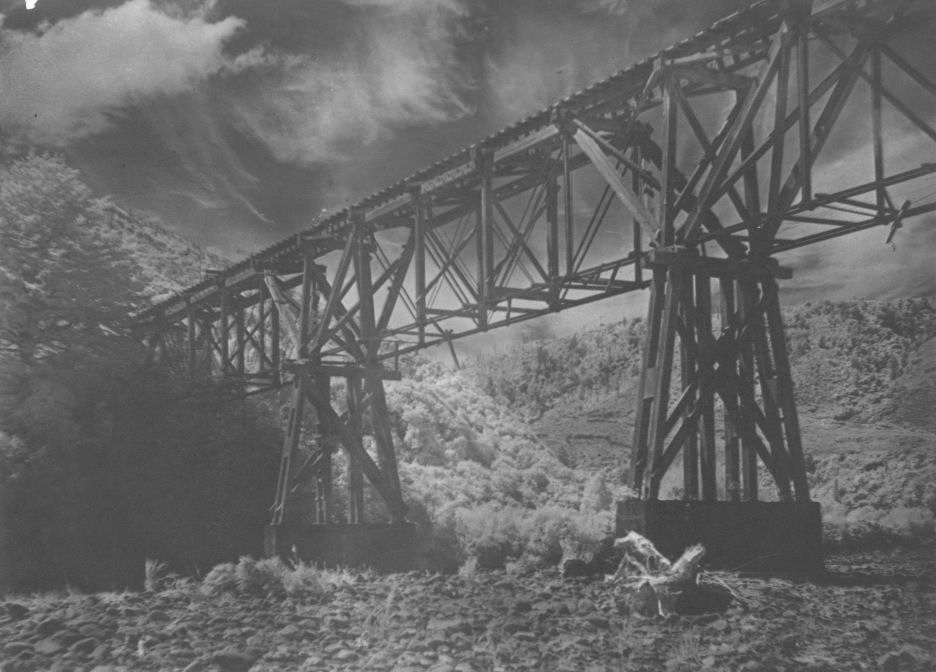 Bush tramway bridge, crossing Te Awa Kairangi / Hutt River at Te Marua