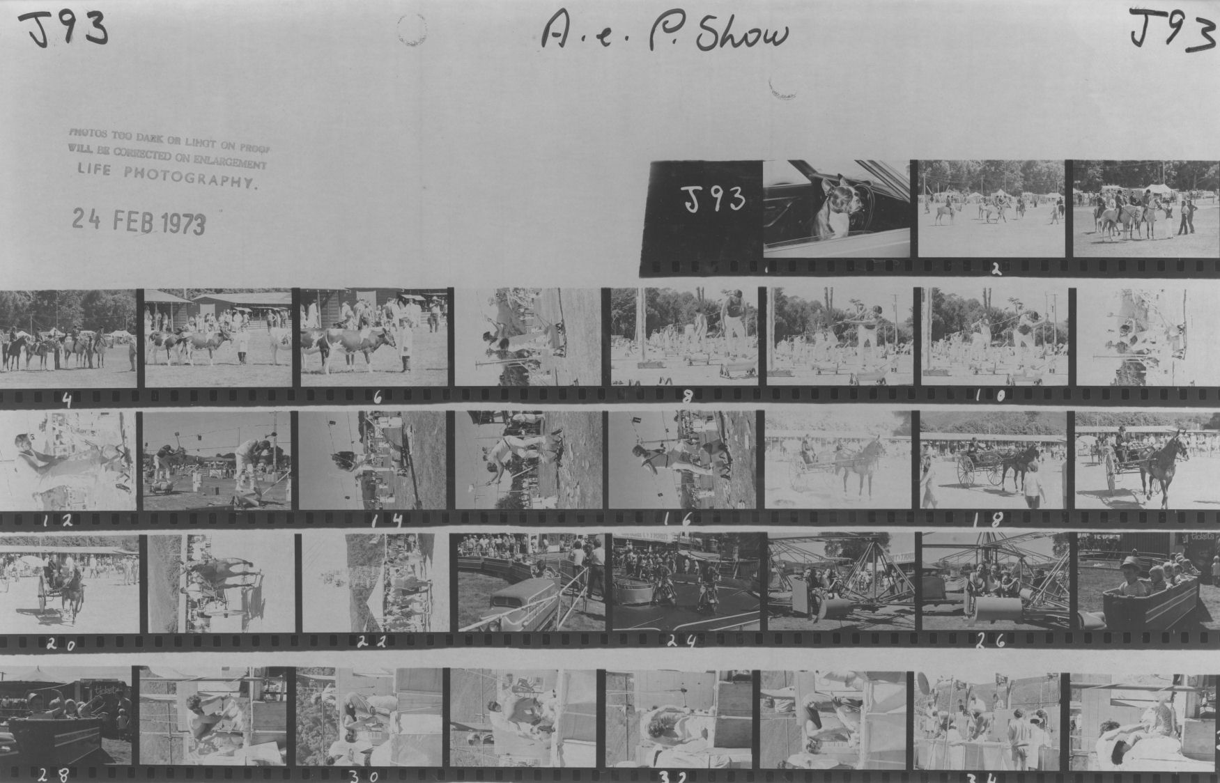 A &amp; P show; sheet of 35 mm negatives contact printed.