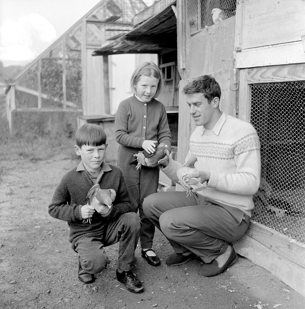 Harry Kent, cyclist (Gold medal at Commonwealth Games, 1970) with children and pigeons.