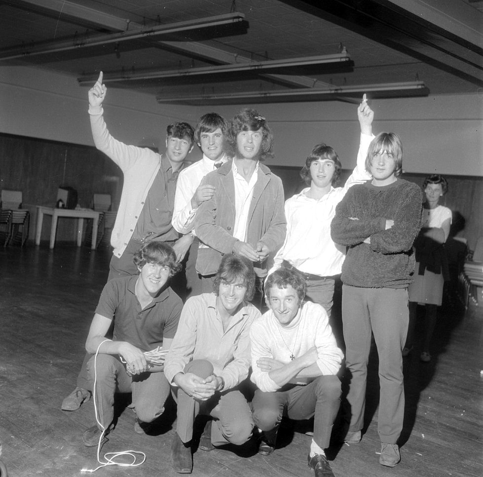 Fourmyula Lower Hutt [P1-3957-6347]