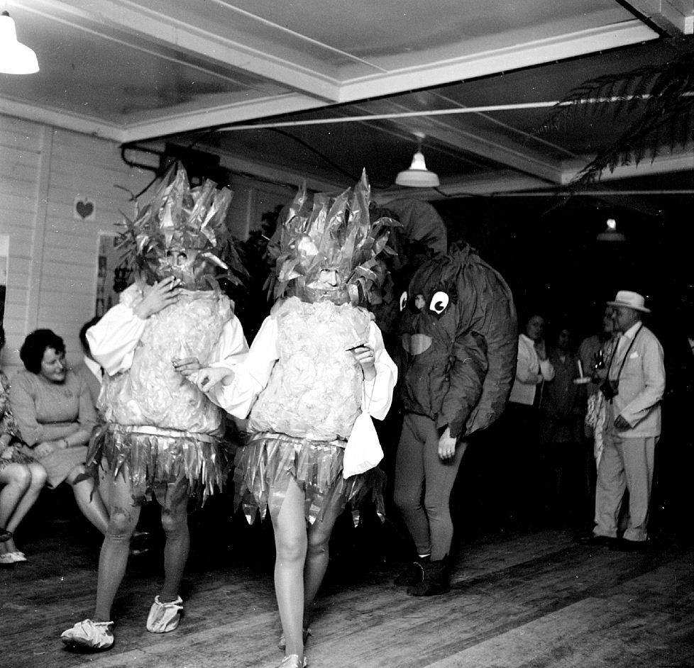 Plateau School PTA social, Kaitoke hall.