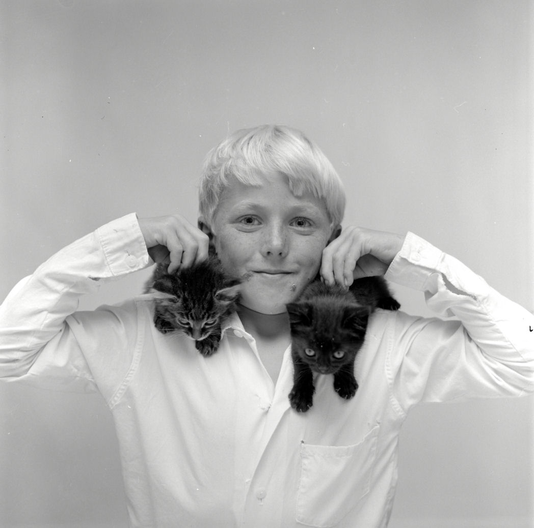 Alan Blanche with kittens, 1969