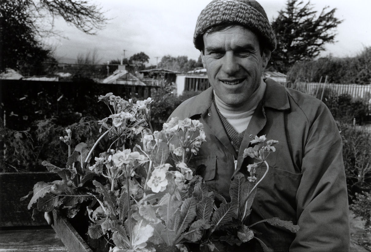 Kent Nurseries; corner of Fergusson Drive and Ranfurly Street; Harry Kent with a tray of polyanthus.