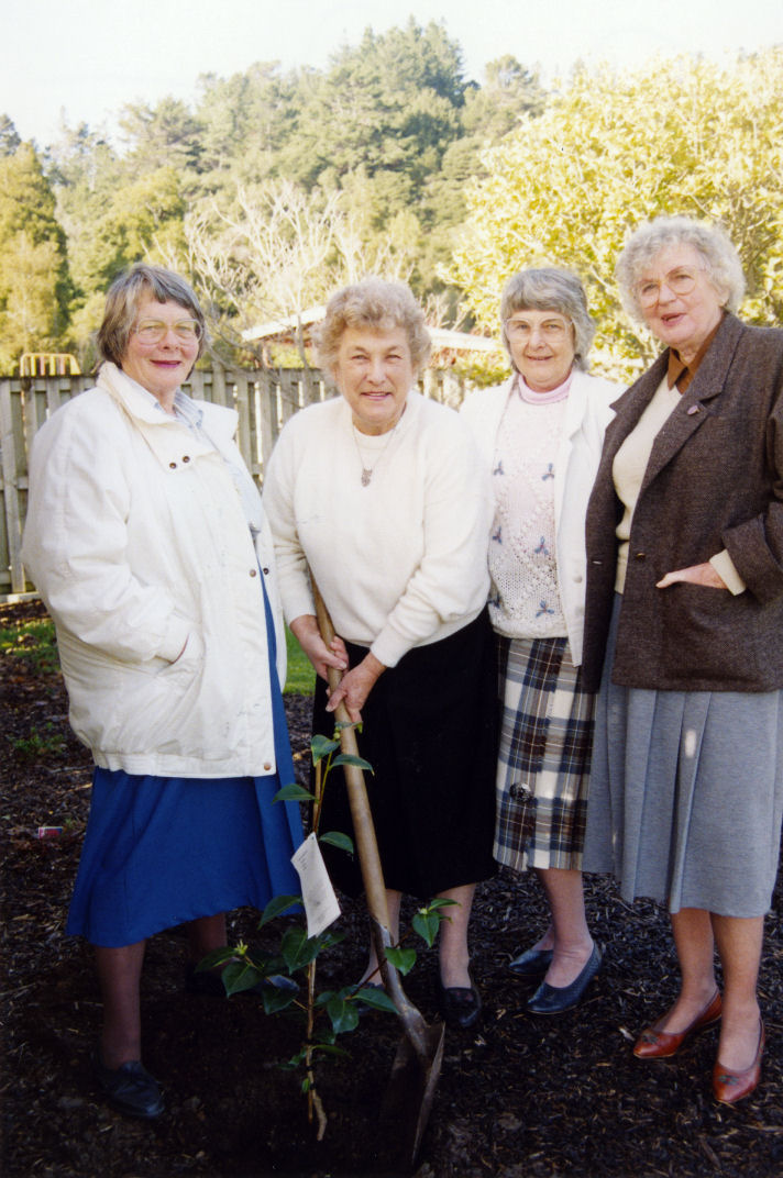 Women's suffrage centenary, 1993