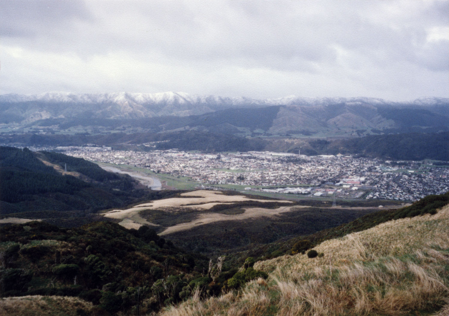 Moonshine; Green Acres; 158.5 acres of pines, pasture and fresh water springs for sale.