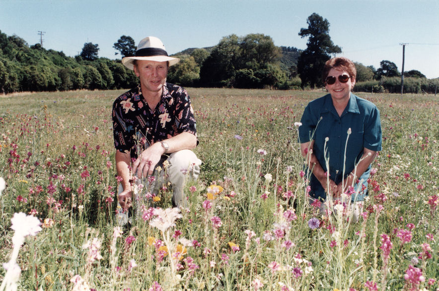 Te Marua; Ian and Dorothy Sherwin open two acres of wild flowers to the public, for Victim Support Group funds.