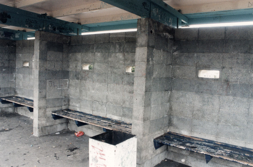 Wallaceville railway station, in an unpleasant state.