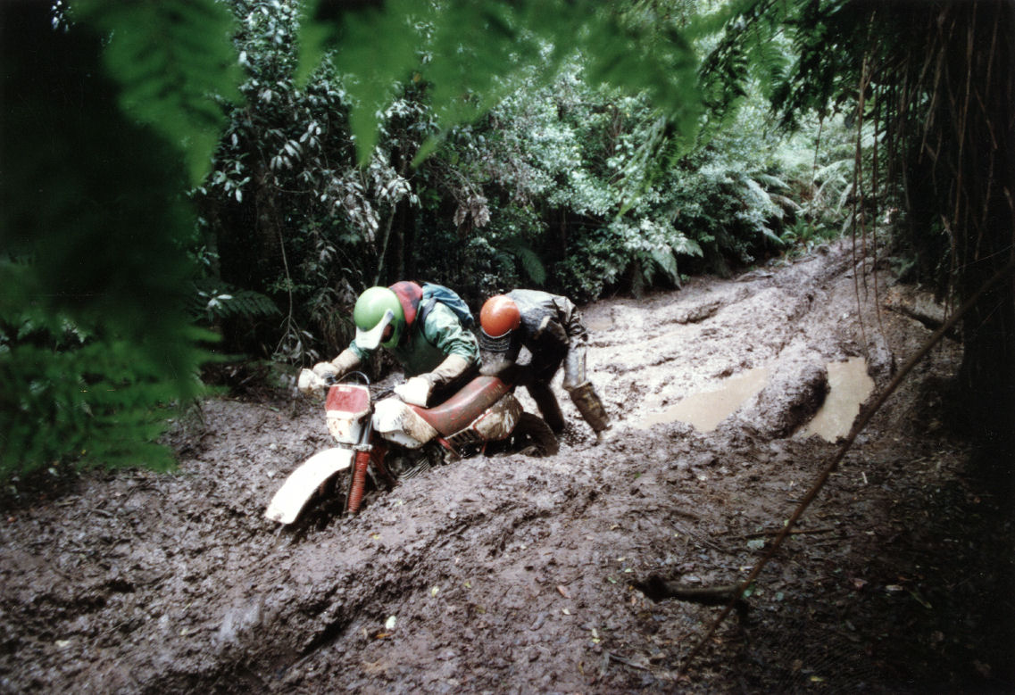 Trail bike riders Mark Stewart, Steve Purchase on (or in) a track at Karapoti called "the bog".